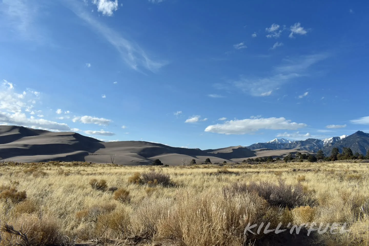 Got any pictures of sand dunes?

#Colorado #sanddunes #mountains #nature #greatsanddunesnationalpark