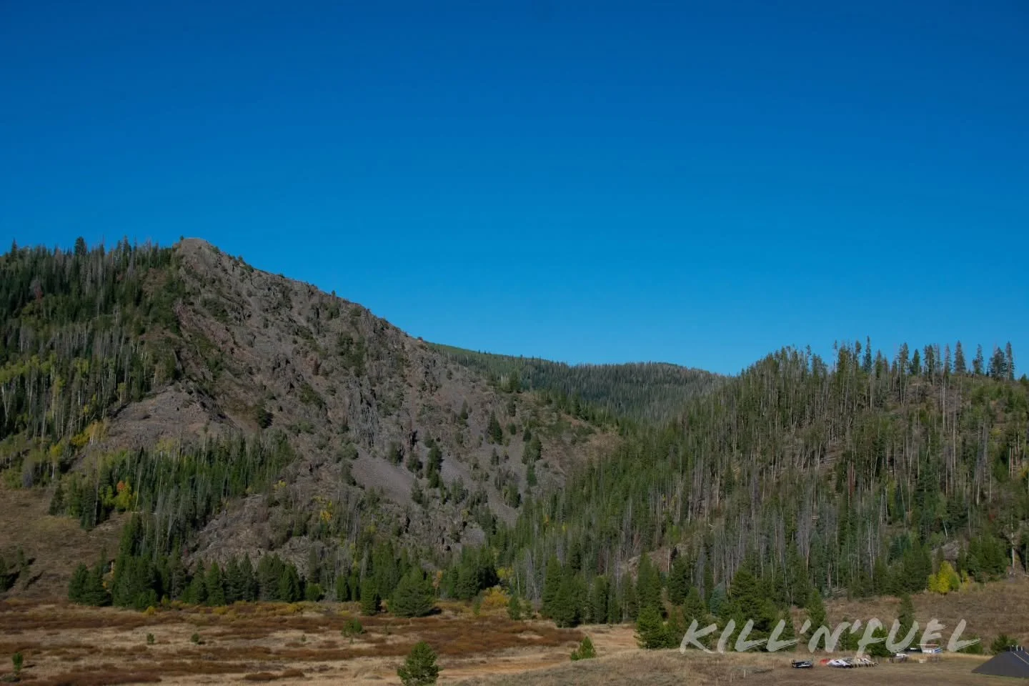 In the hills

#nature #beautiful #earth #peaceful #pretty