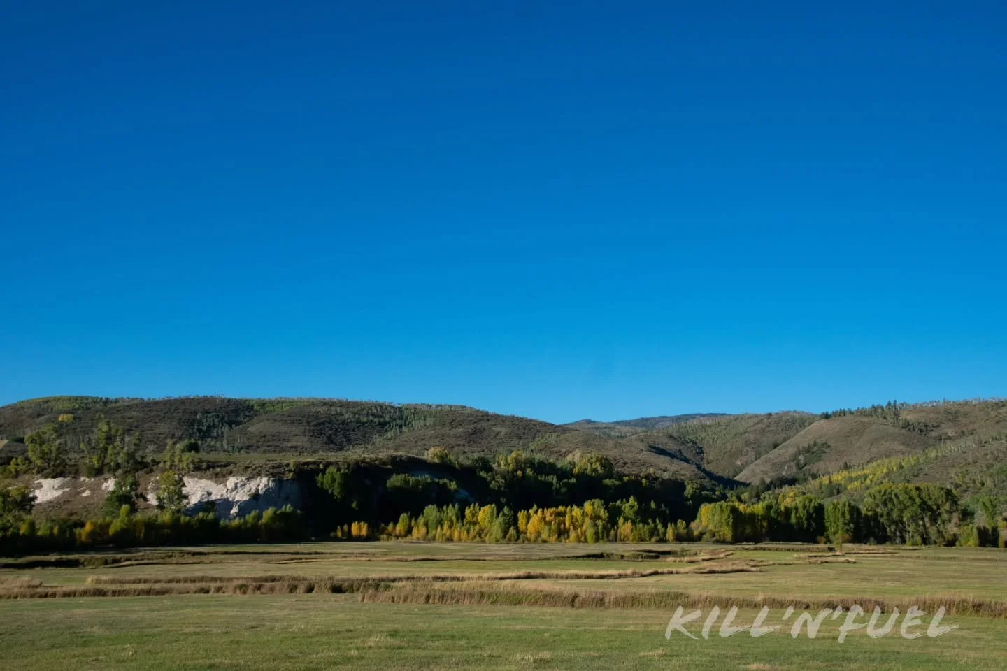 another day in the mountains 

#nature #beautiful #earth #peaceful #pretty