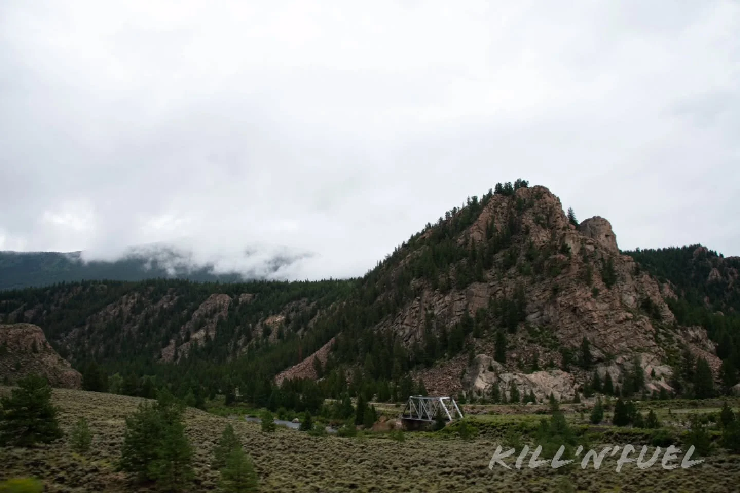 On the way down to the property

#fog #NatureLovers #naturalbeauty #rural #exploremore