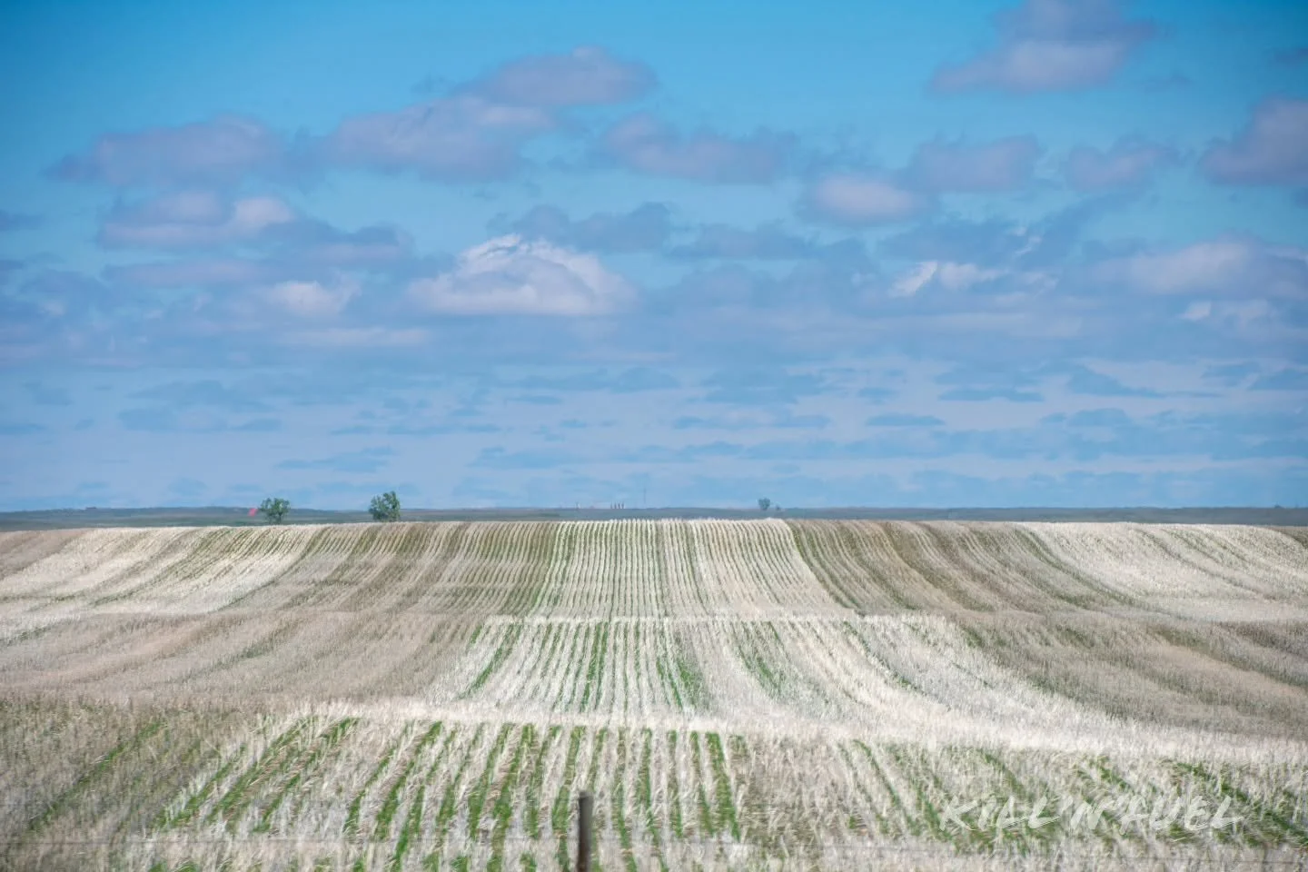 Just a little mid-winter daydreaming of sunnier seasons.

#nature #beautiful #seasons