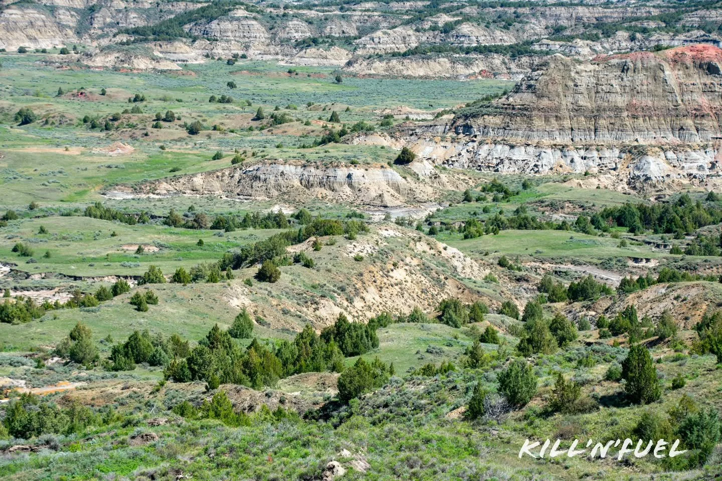Beauty everywhere

#colorful #northdakota #beauty #theodorerooseveltnationalpark