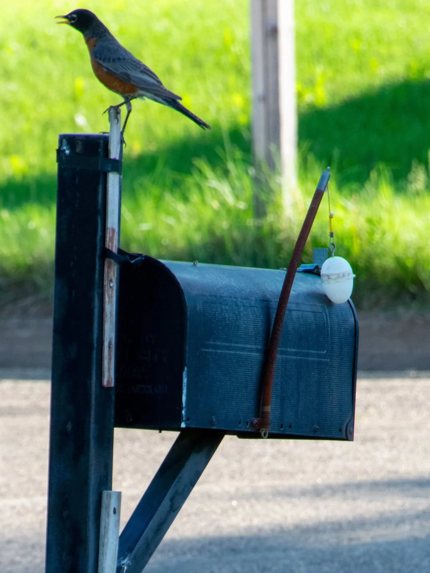 Special delivery: Spring is in the mail. 💌🌿

#wednesdaywisdom #springvibes #almostspring