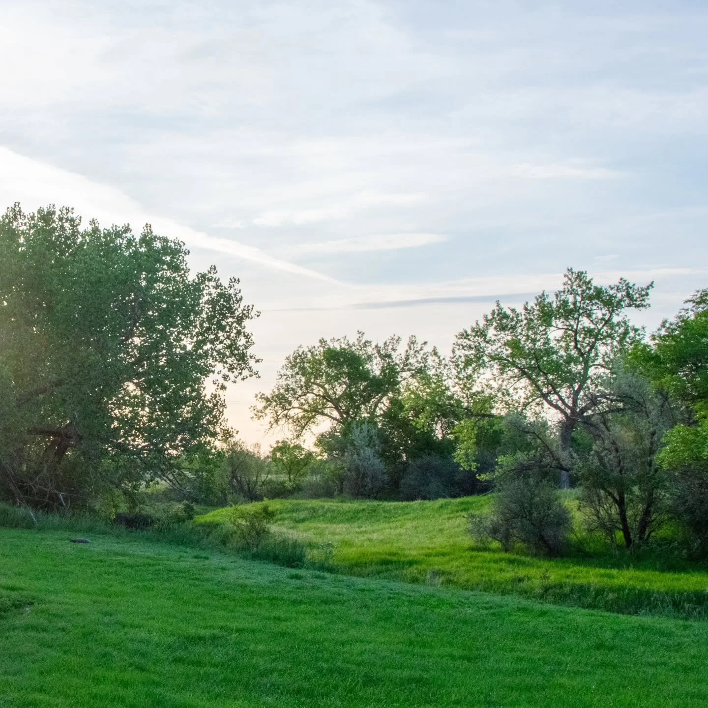 Can you find the turtle?

#nature #scenery #peaceful #stressrelief