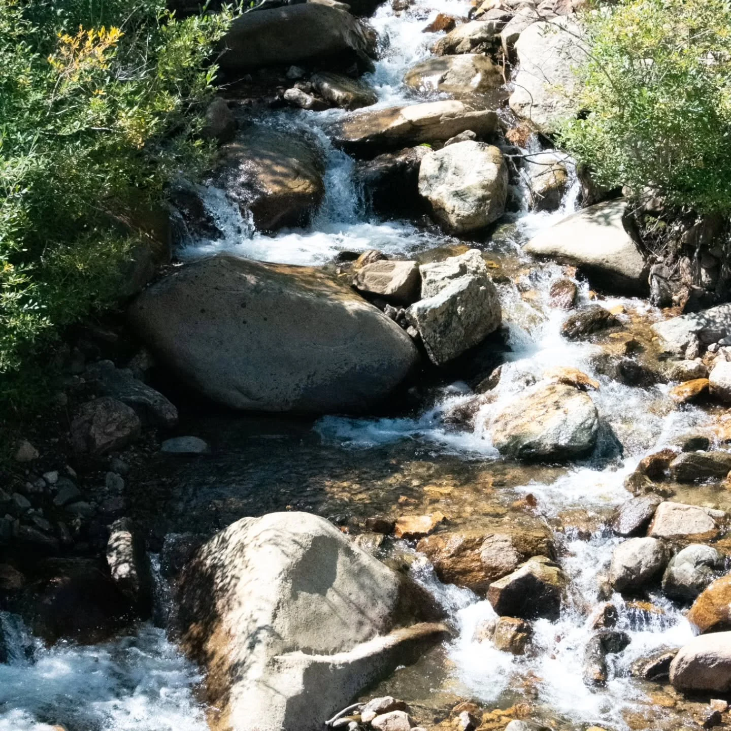 Walking upstream 

#rocks #waterfall #water #nature #outdoors wet