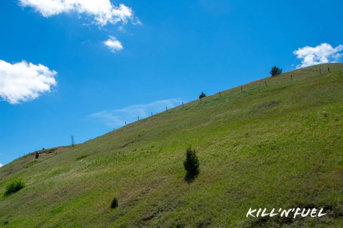 Perfect spot to lie back &amp; watch the clouds.

#clouds #relaxation #daydreaming