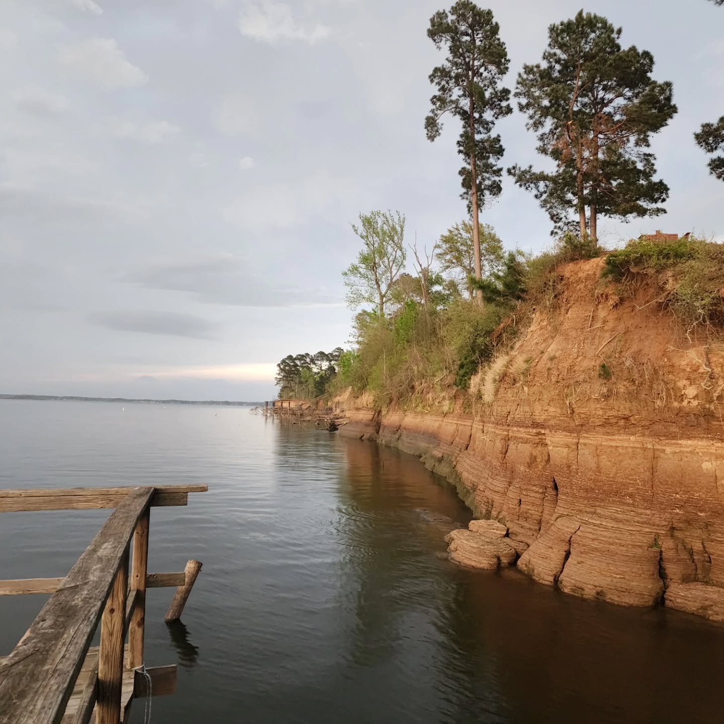 Enjoying the evening in Milam Texas