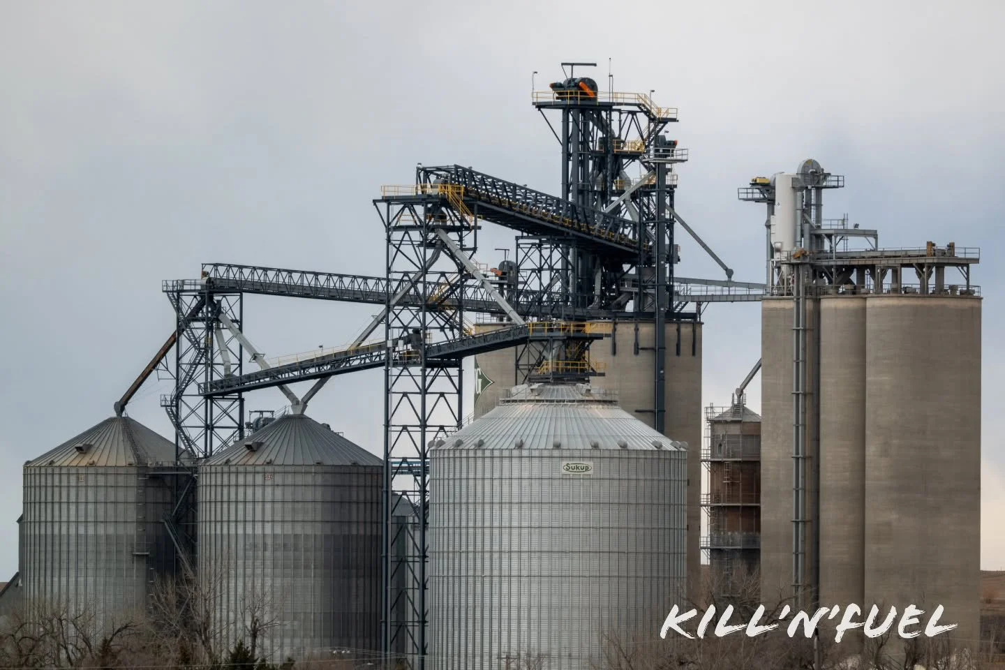 The massive metal towers that keep the heartland running and feeding the country.

#grainbin #coop #agriculture