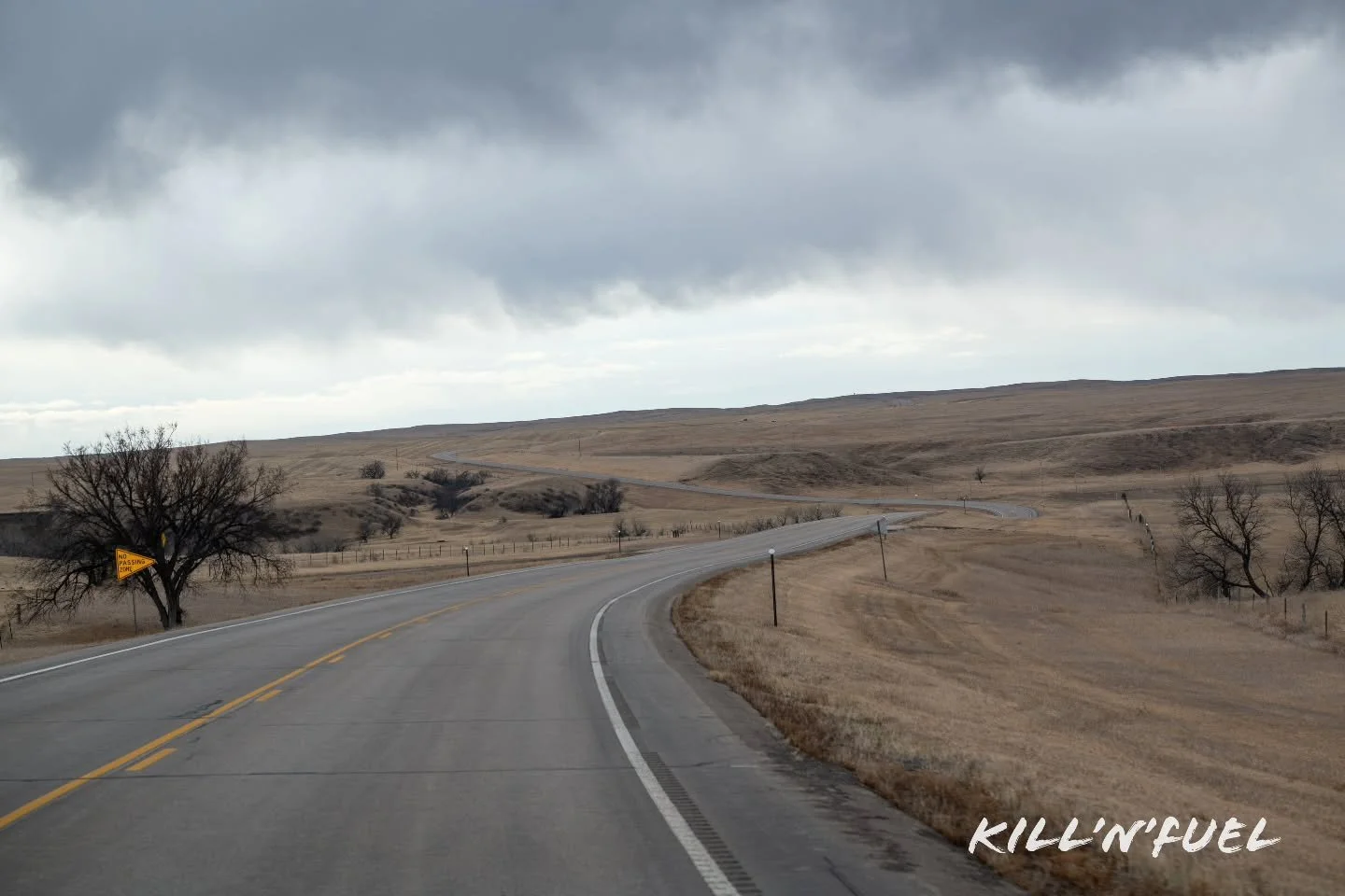 Nothing beats the peaceful feeling of a winding two-lane highway under dramatic skies.

#ScenicDrives #RoadTrip #OnTheRoad