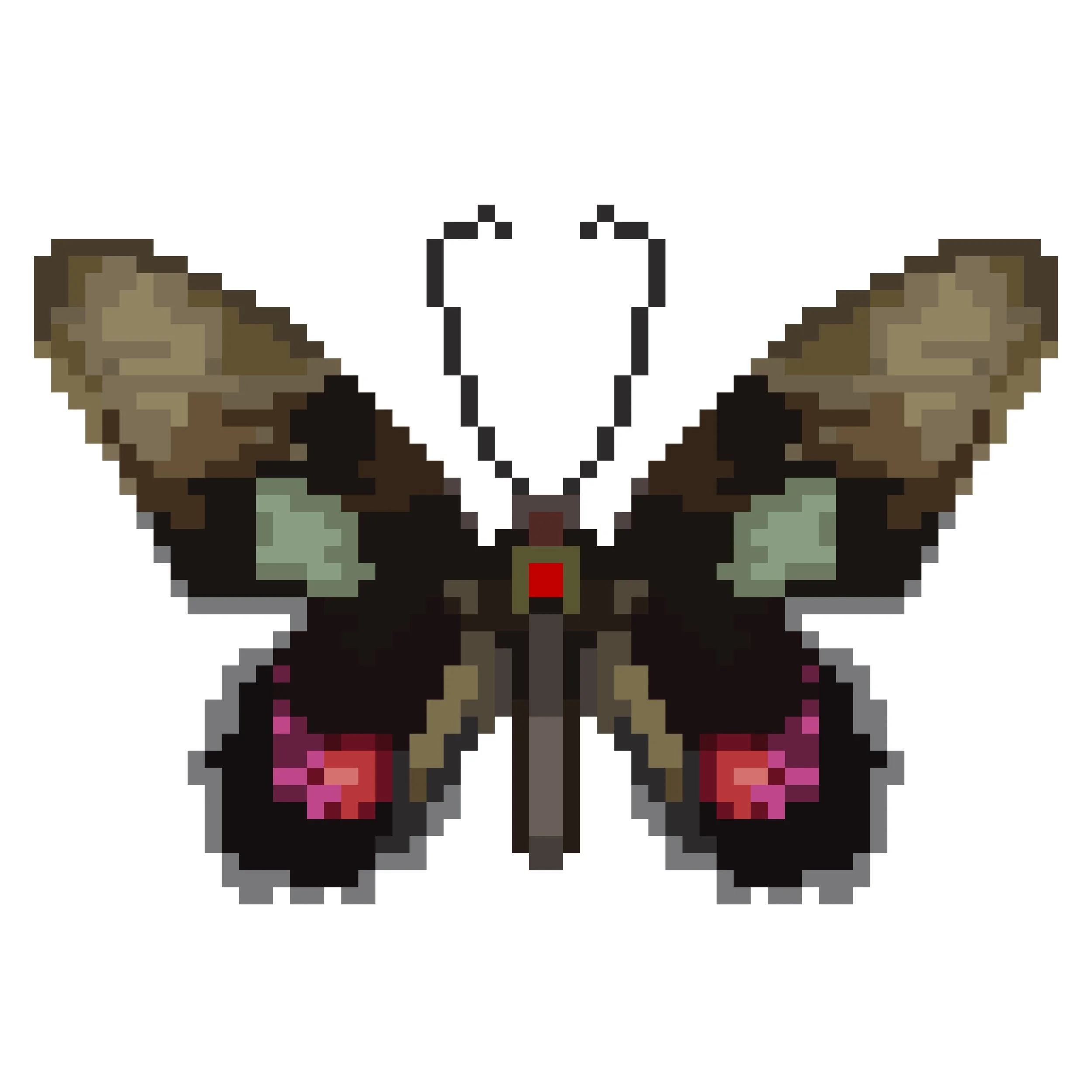 Wingpin#0774-Parides phosphorus.jpg