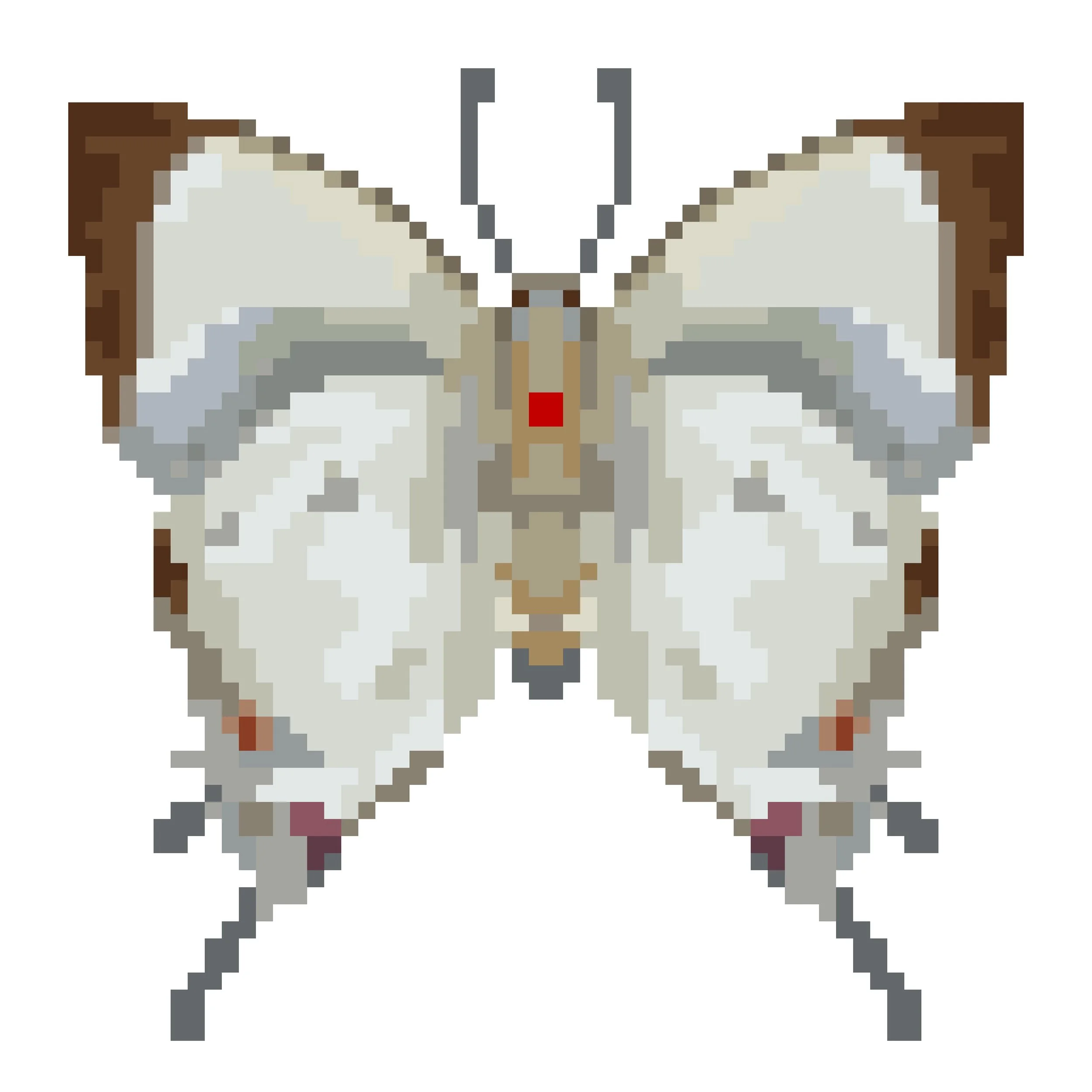 Wingpin#0136-Iolaus ismenias.jpg