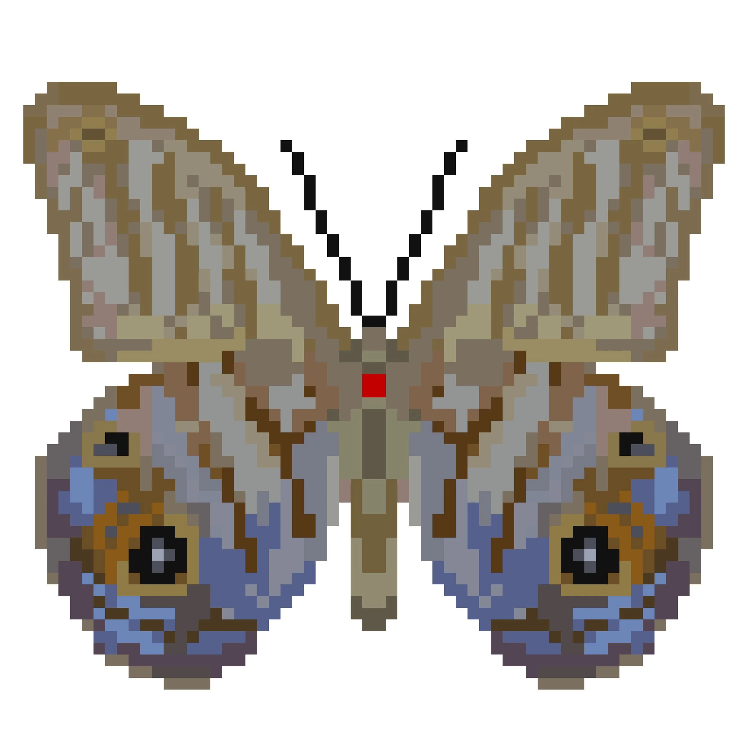Wingpin#0818-Chloreuptychia agatha.jpg
