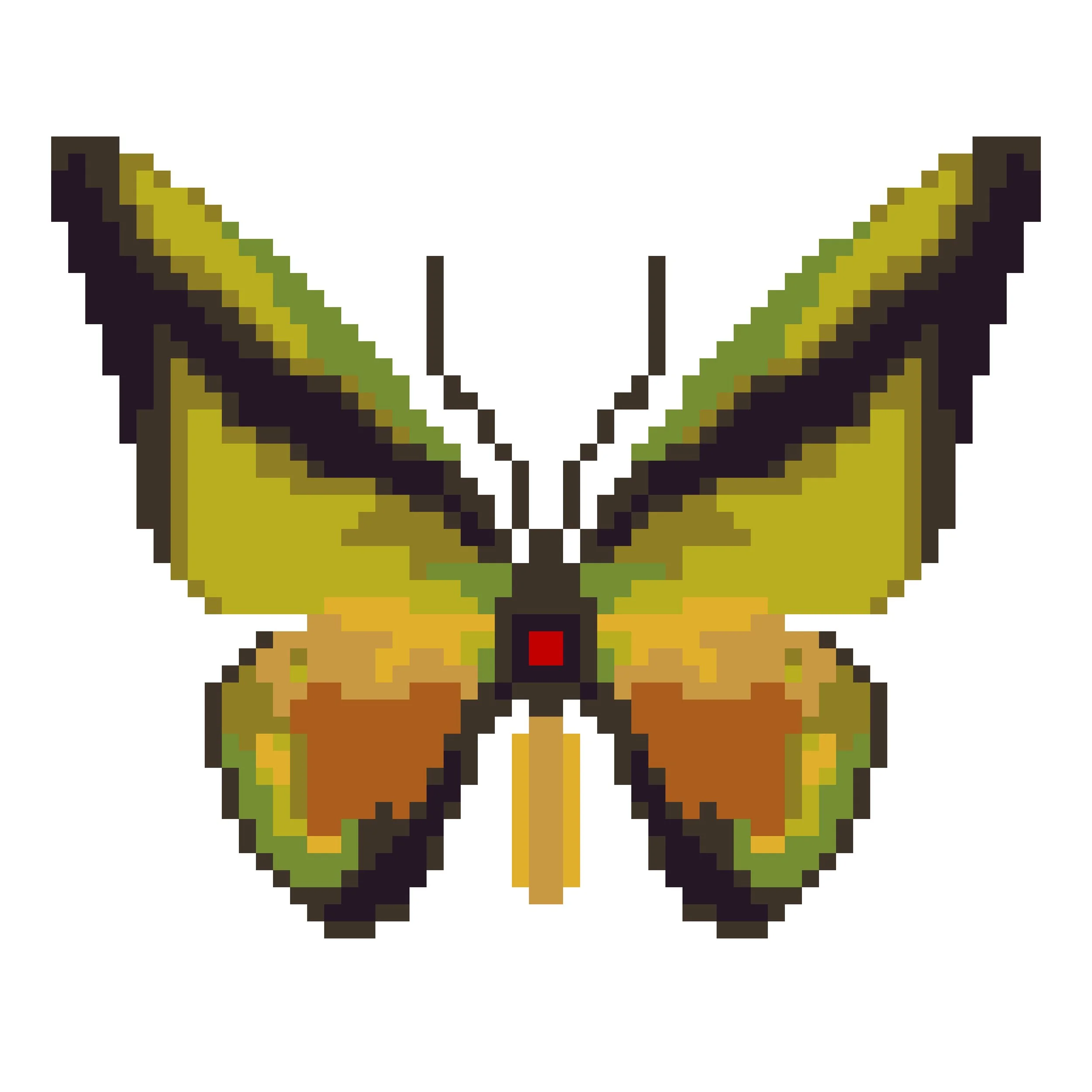 Wingpin#0051-Ornithoptera goliath.jpg