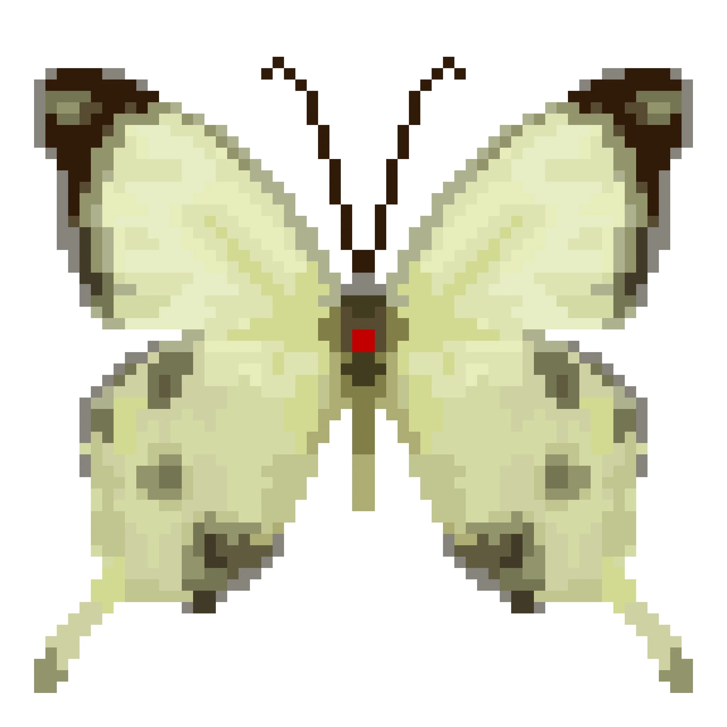 Wingpin#0159-Papilio dardanus.jpg