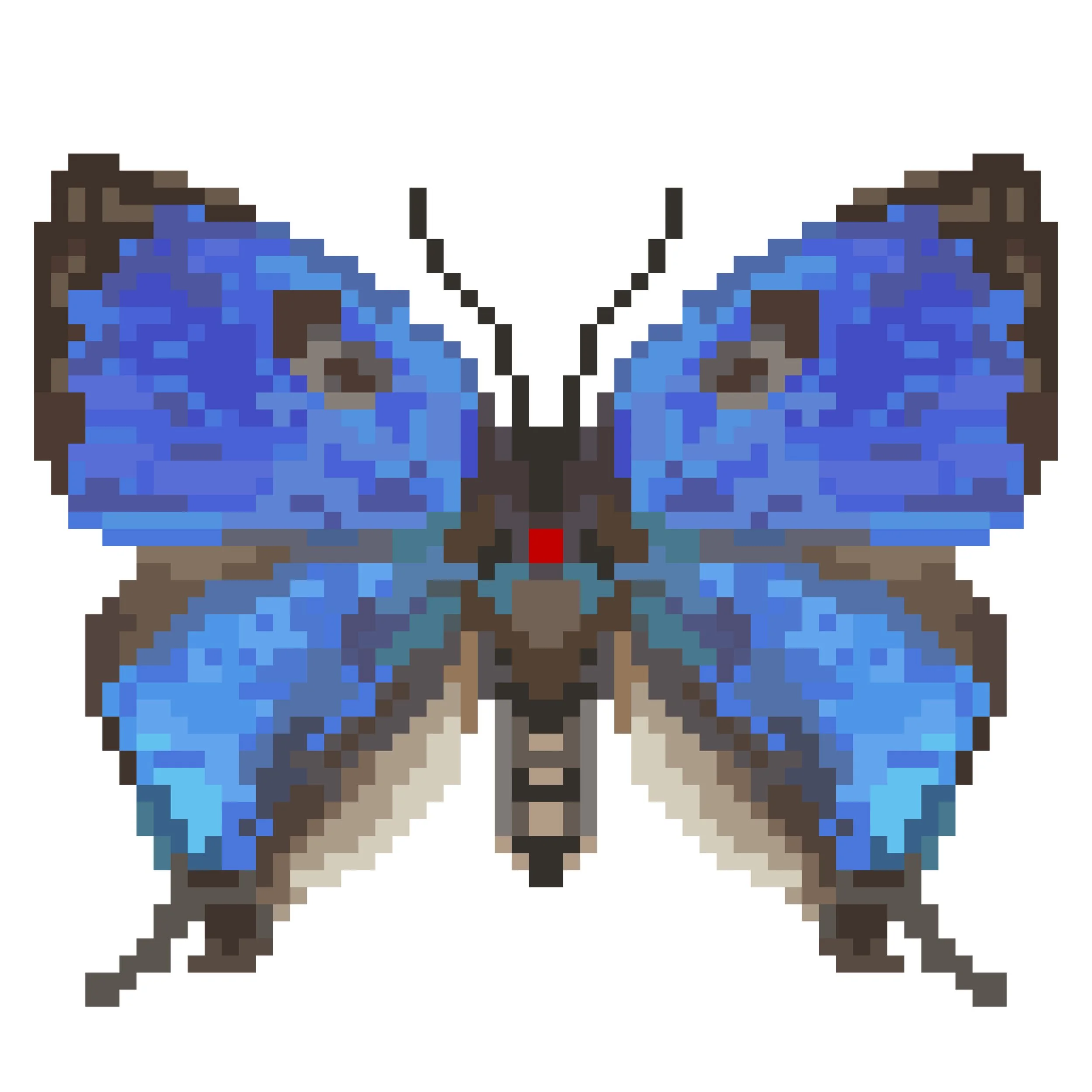 Wingpin#0850-Thecla phaenna.jpg