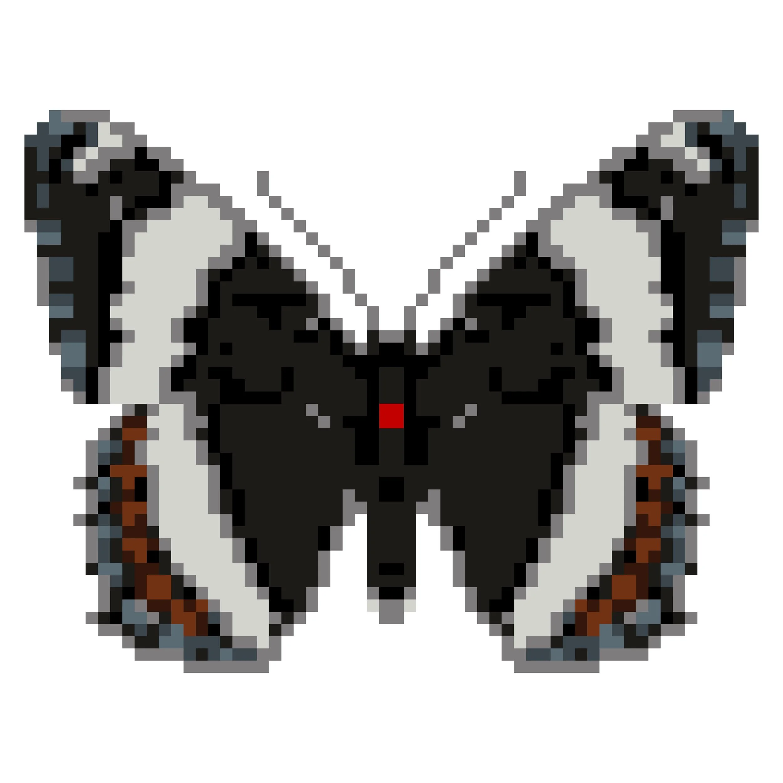 Wingpin#0033-Limenitis arthemis.jpg