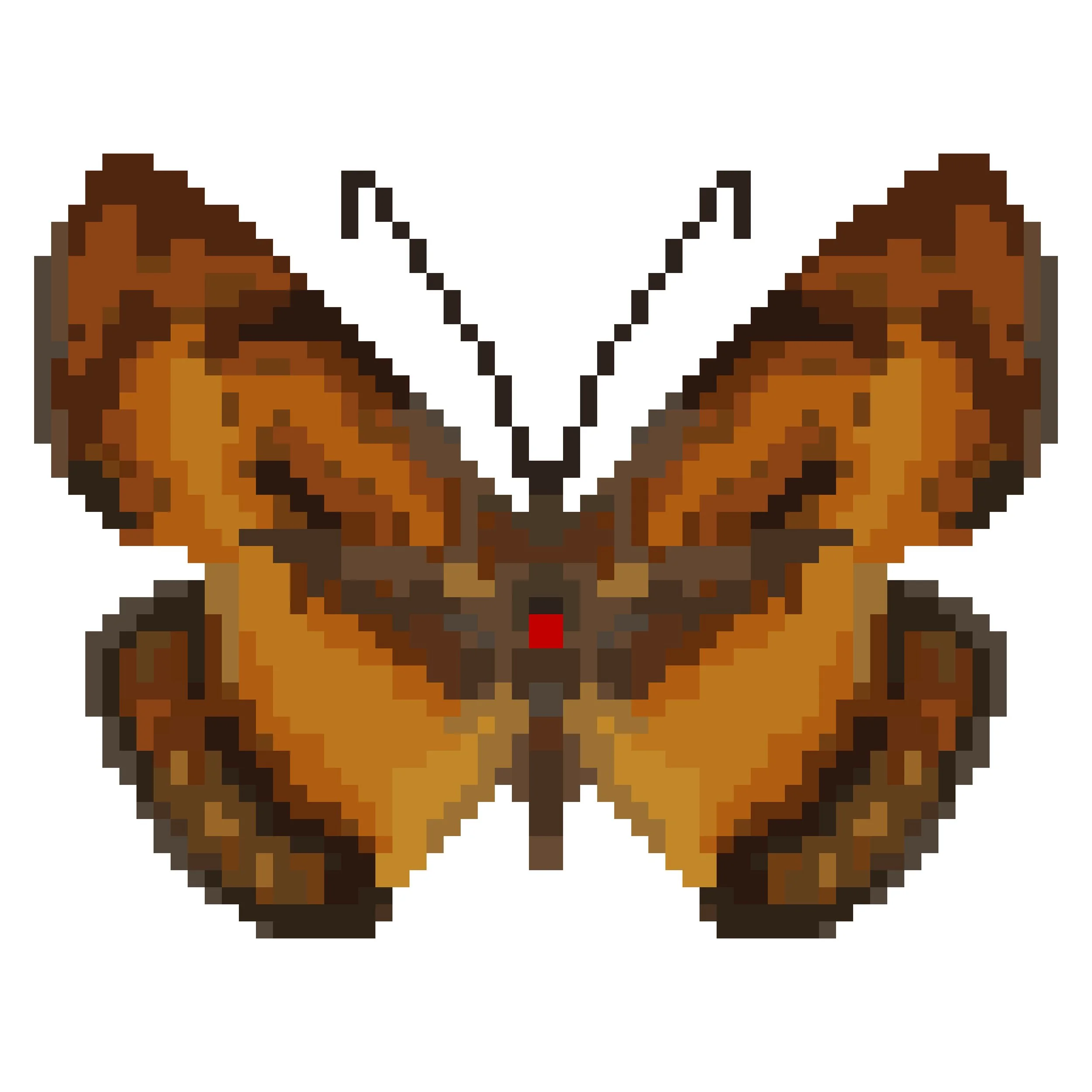 Wingpin#0165-Byblia anvatara.jpg