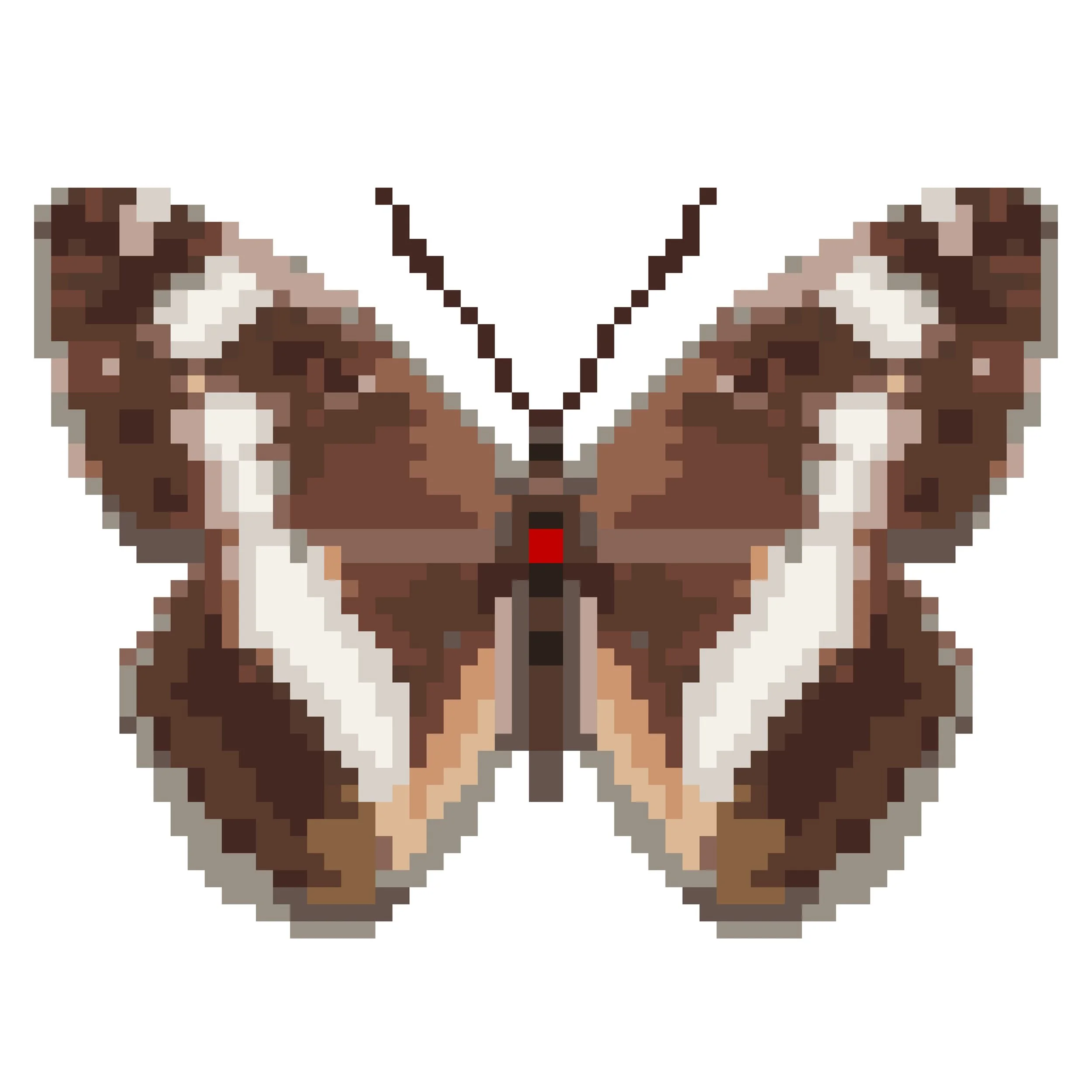 Wingpin#0097-Limenitis camilla.jpg