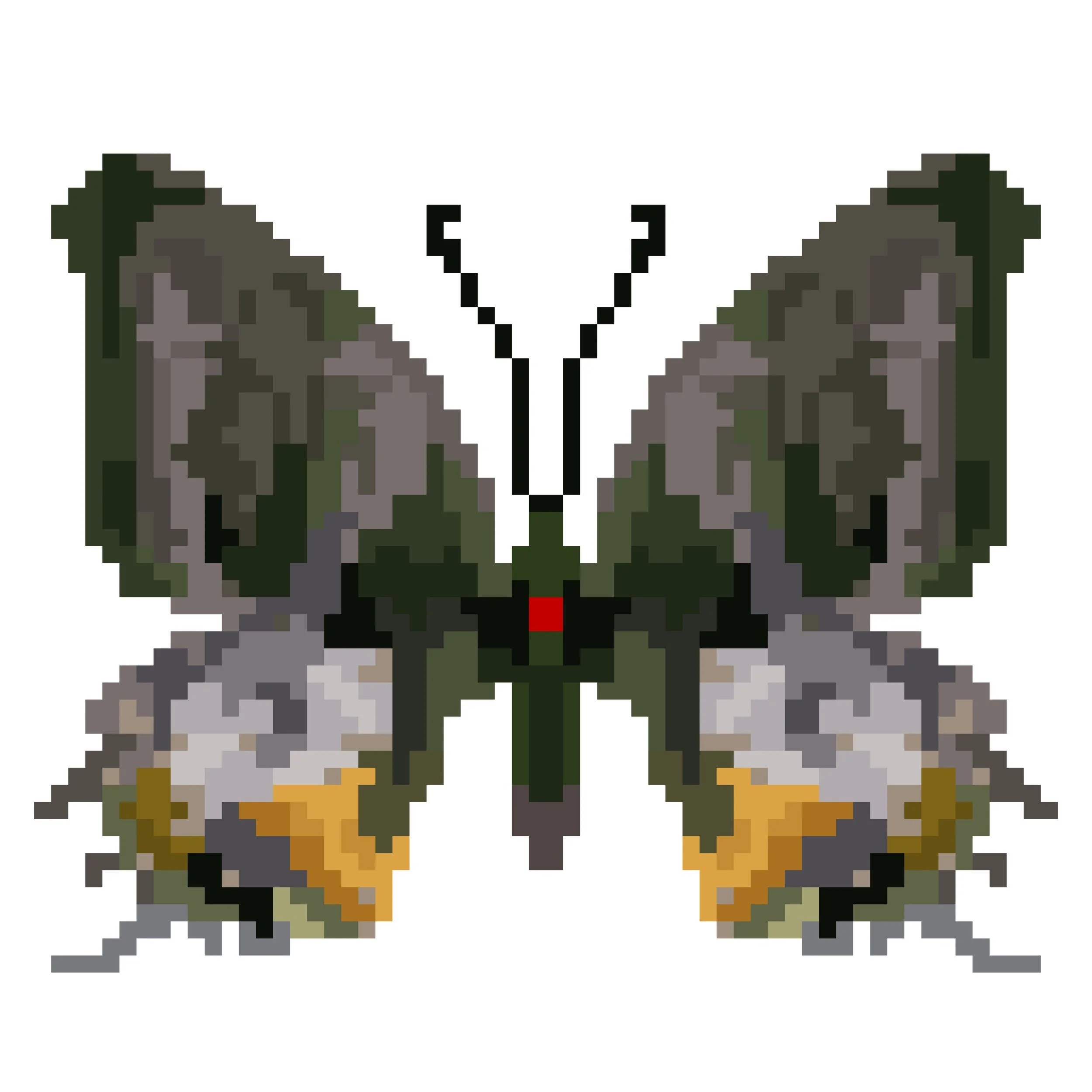 Wingpin#0888-Teinopalpus aureus.jpg