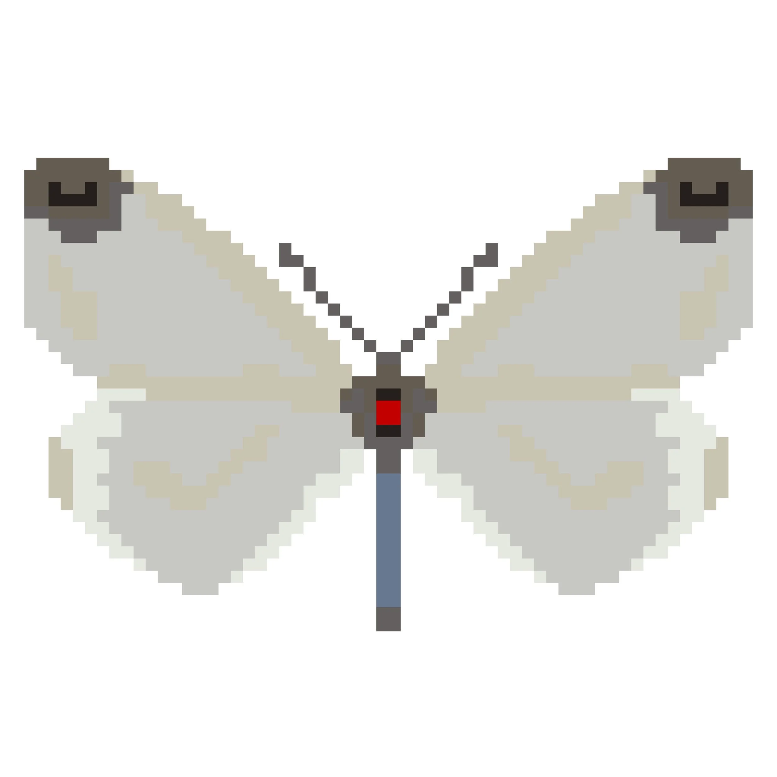 Wingpin#0020-Leptidea juvernica.jpg