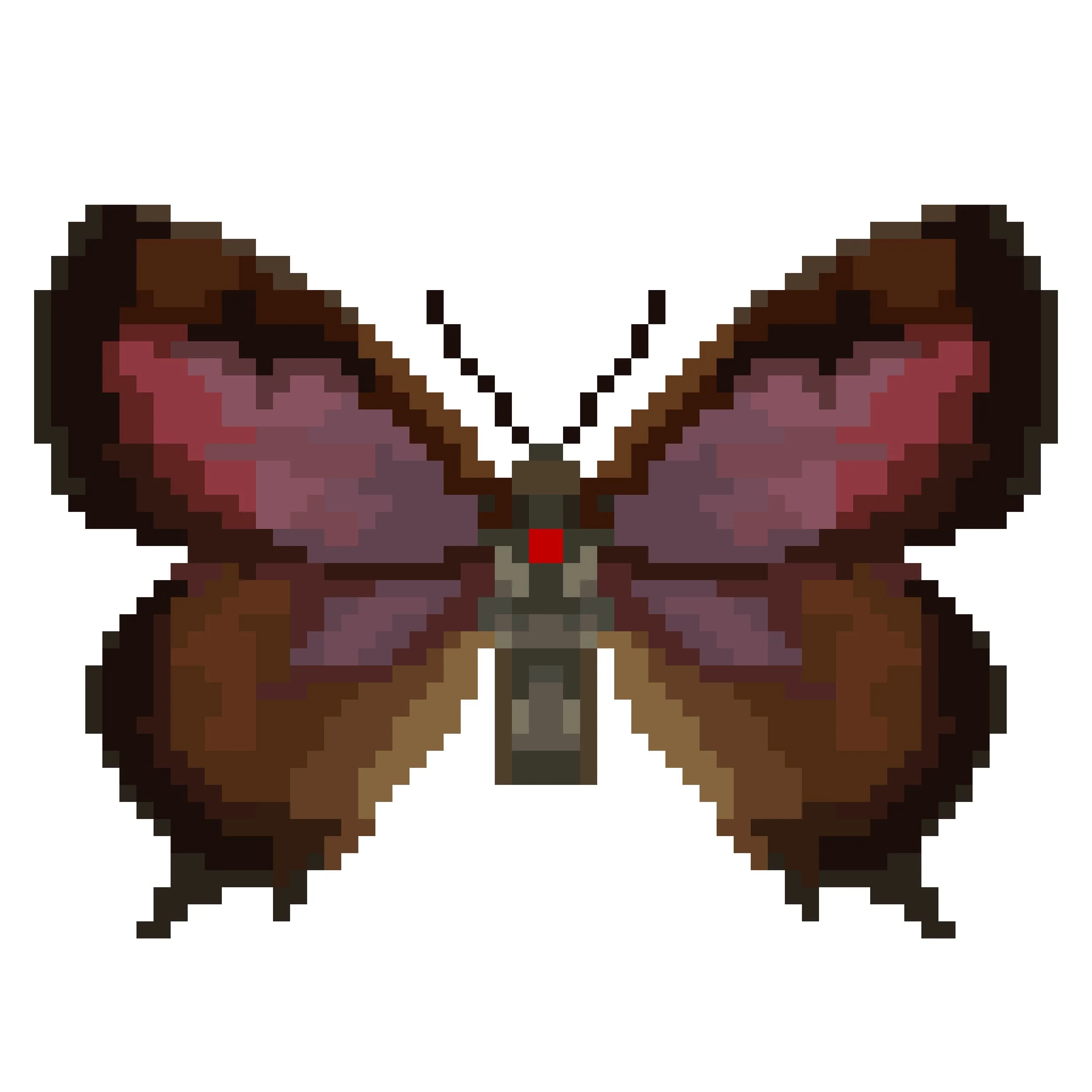 Wingpin#0422-Arhopala singla.jpg