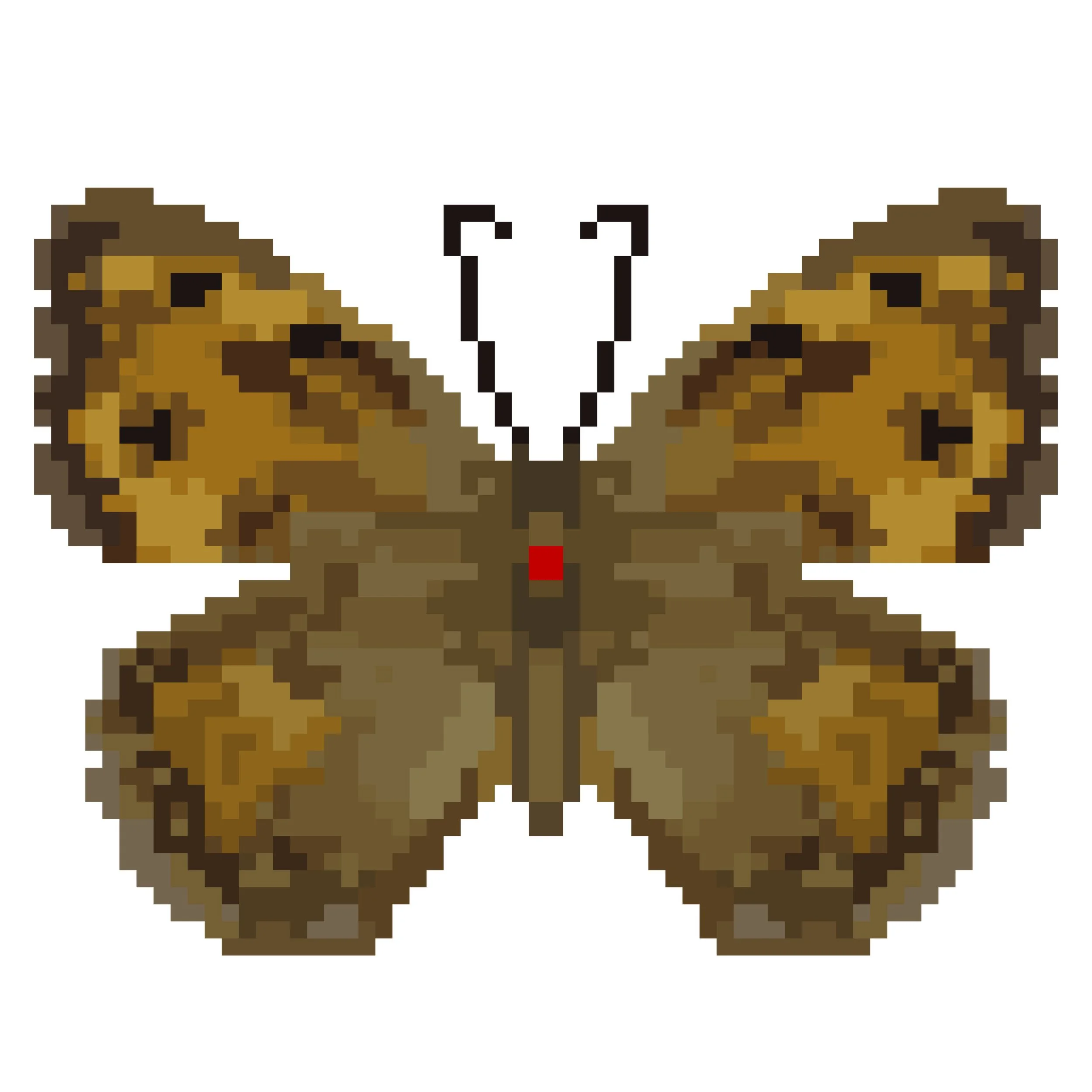 Wingpin#0788-Pseudochazara anthelea.jpg