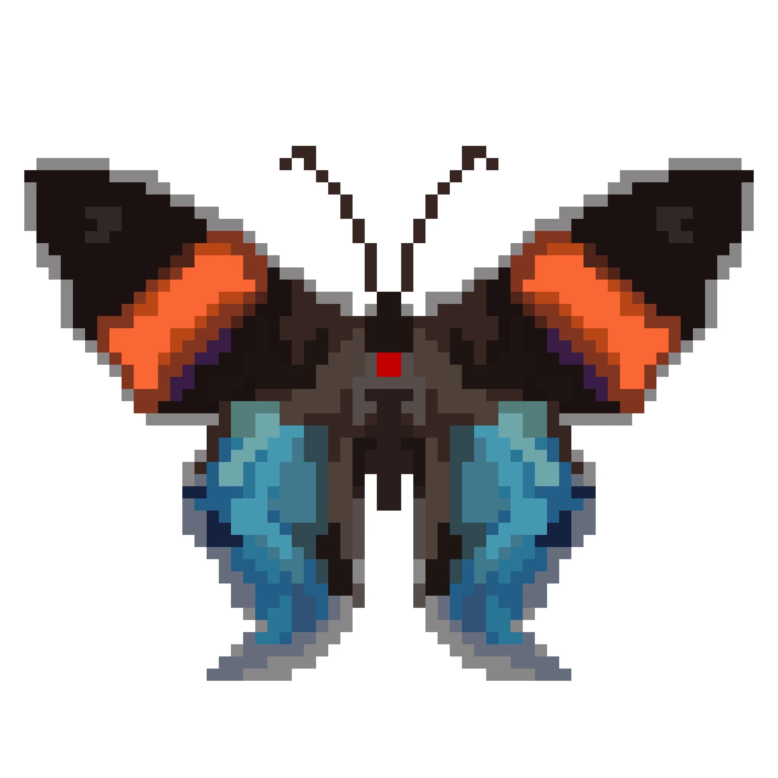 Wingpin#0566-Ancyluris miniola.jpg
