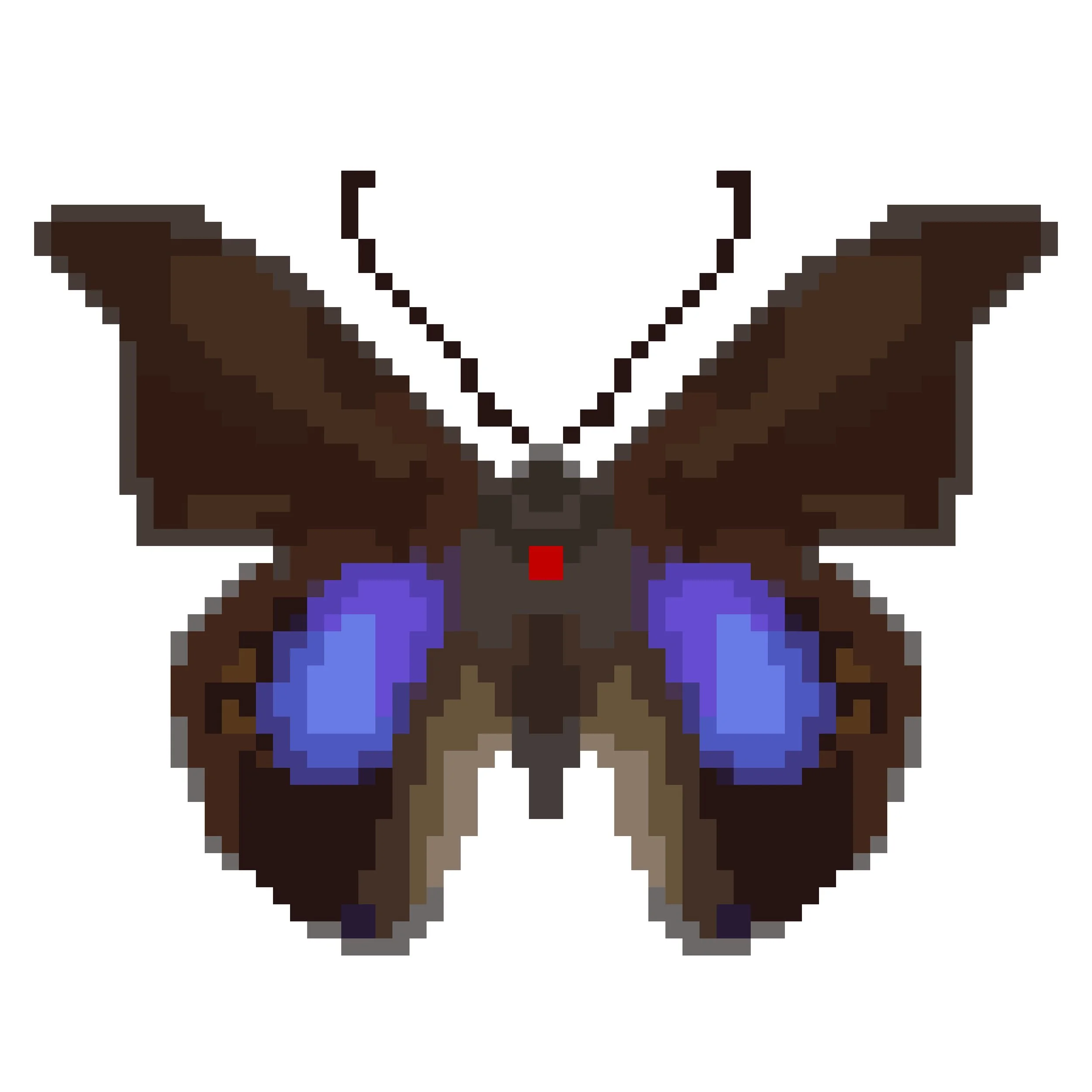 Wingpin#0985-Prepona chromus.jpg