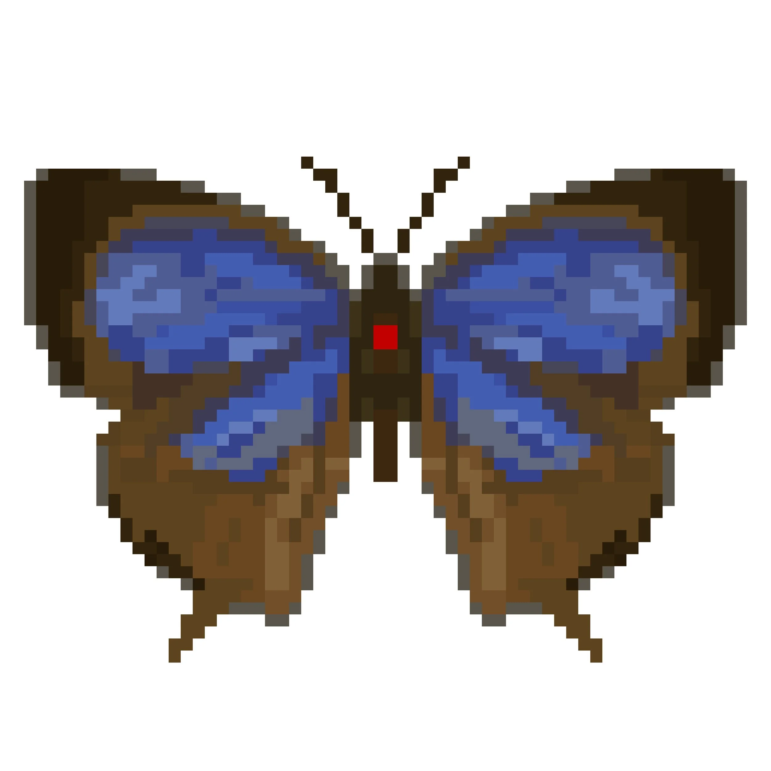 Wingpin#0383-Mahathala ameria.jpg