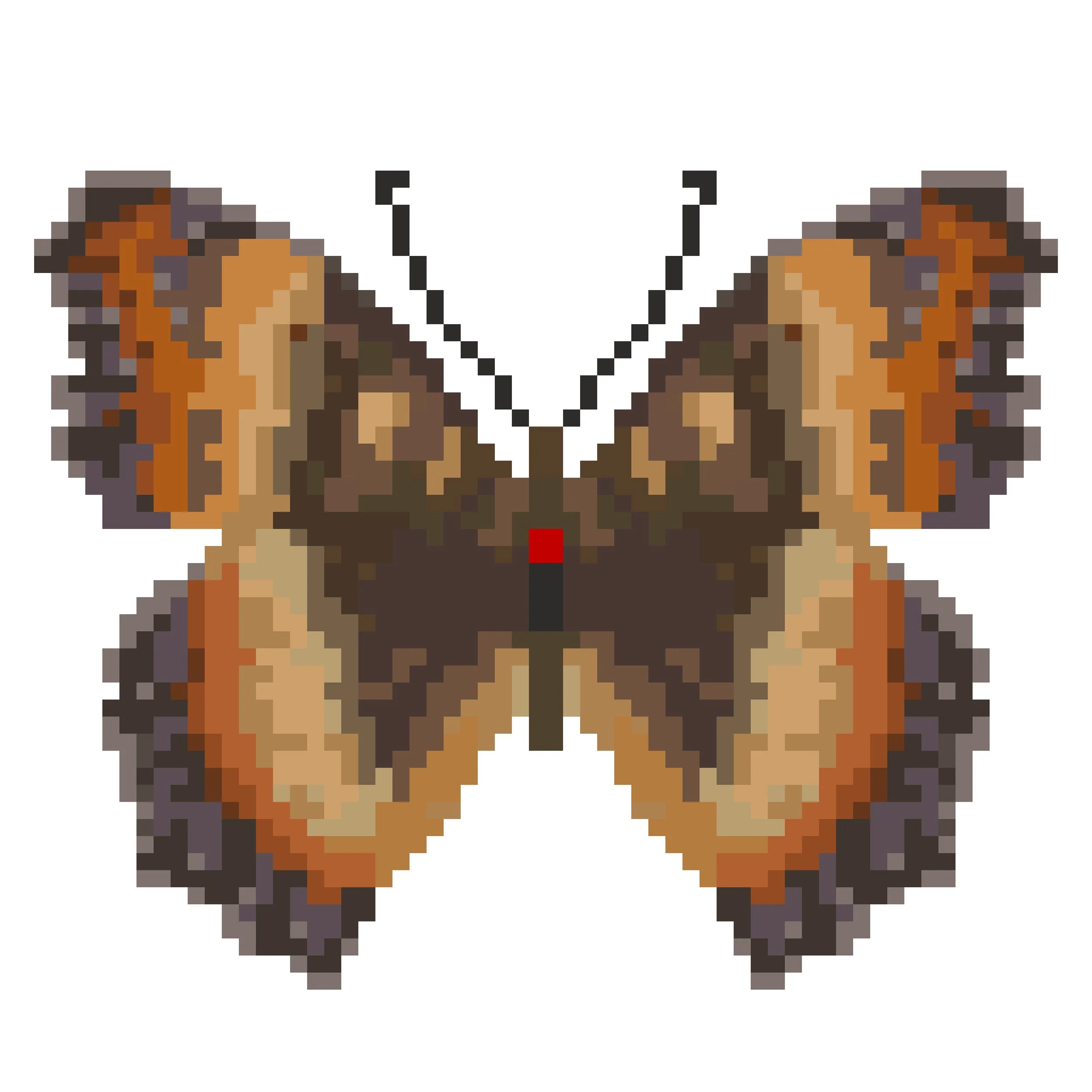 Wingpin#0489-Precis ceryne.jpg