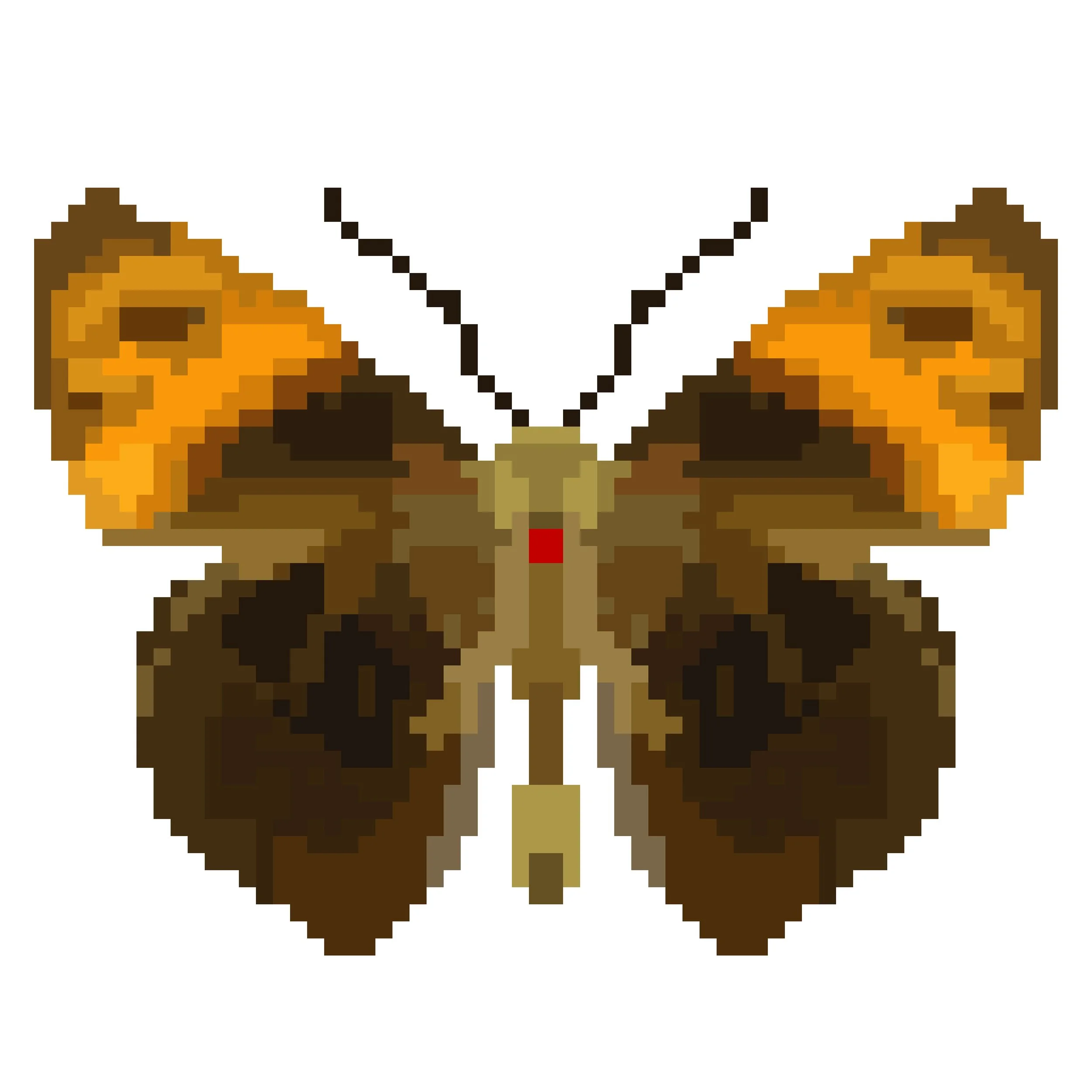 Wingpin#0764-Entheus priassus.jpg