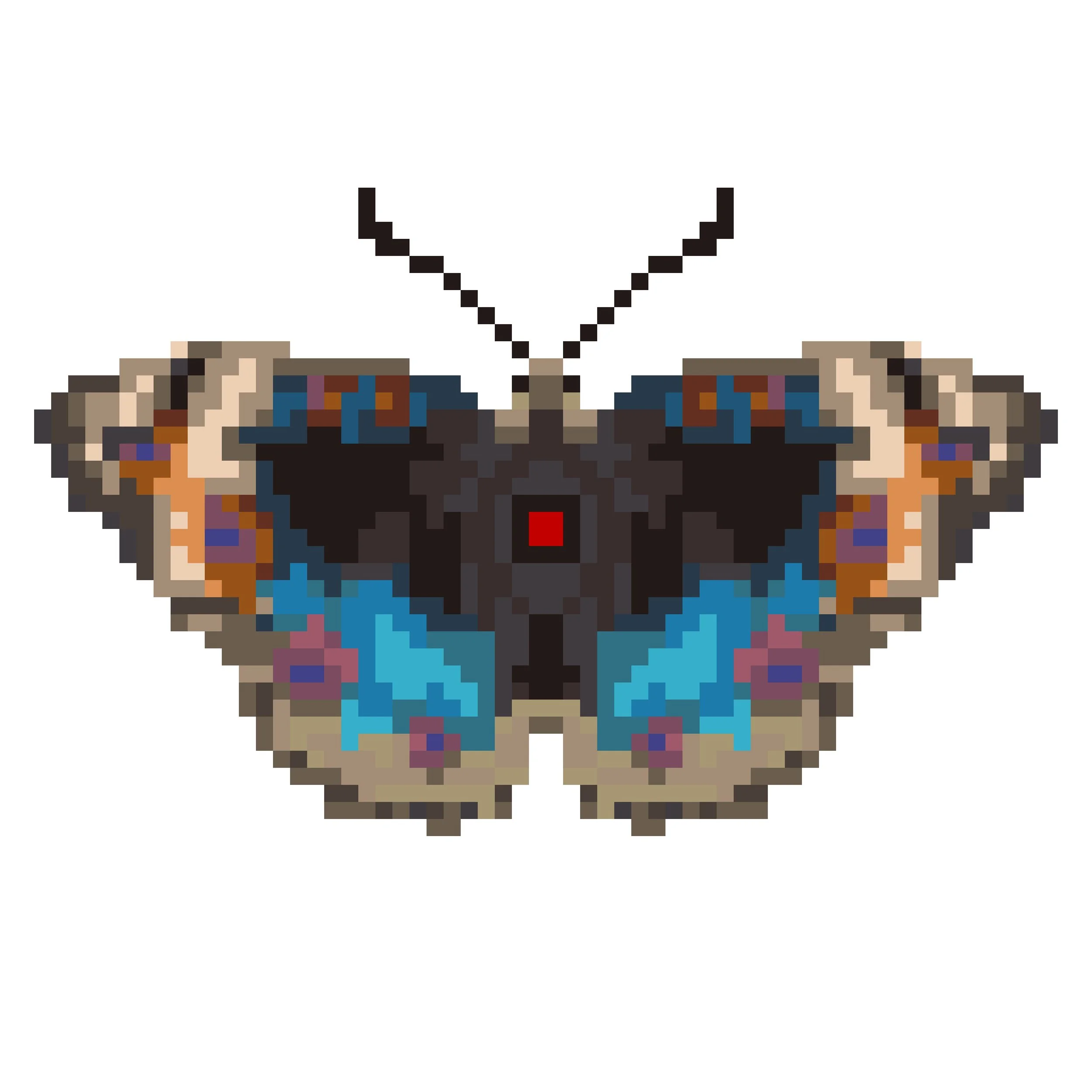 Wingpin#0128-Junonia orithya.jpg