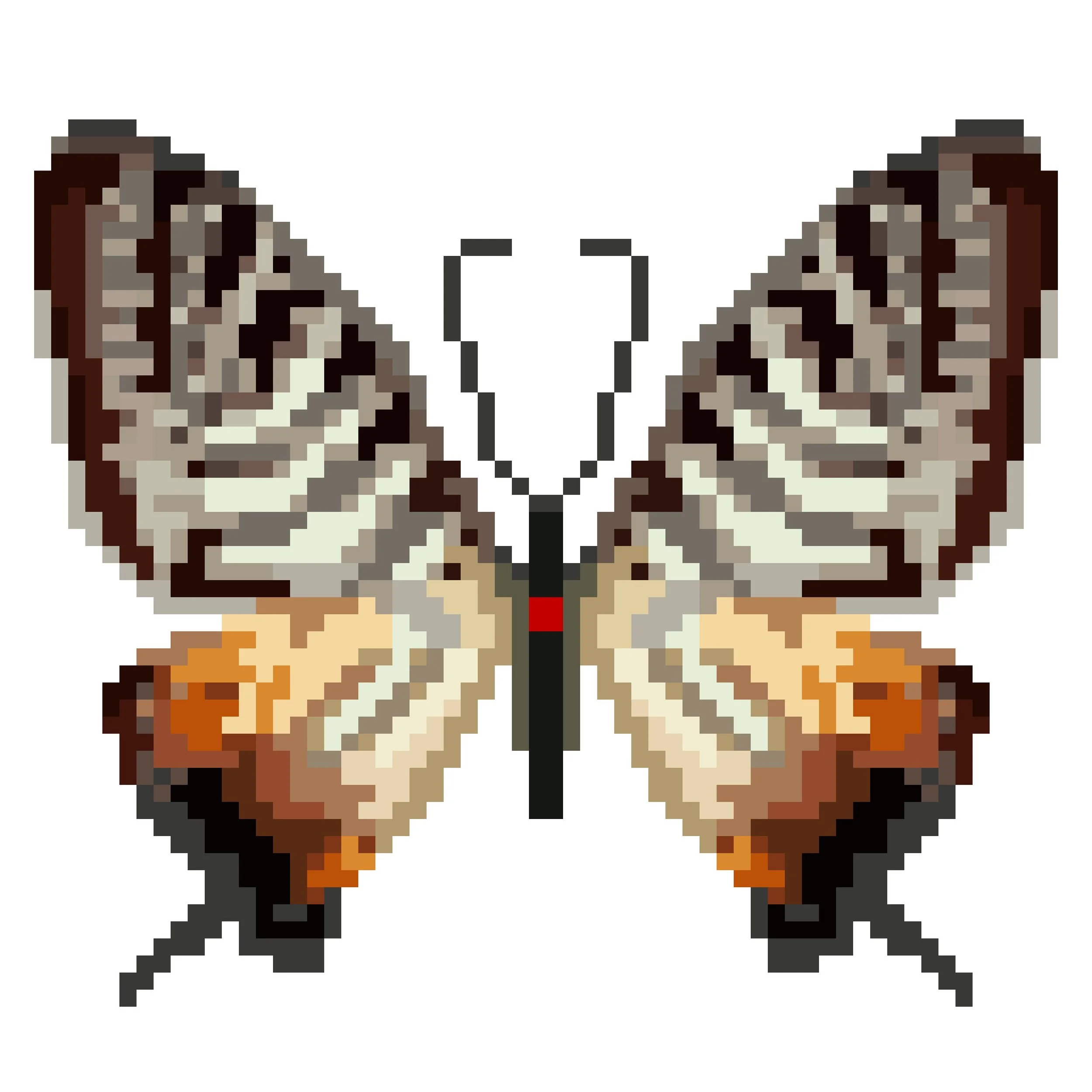 Wingpin#0687-Graphium phidias.jpg