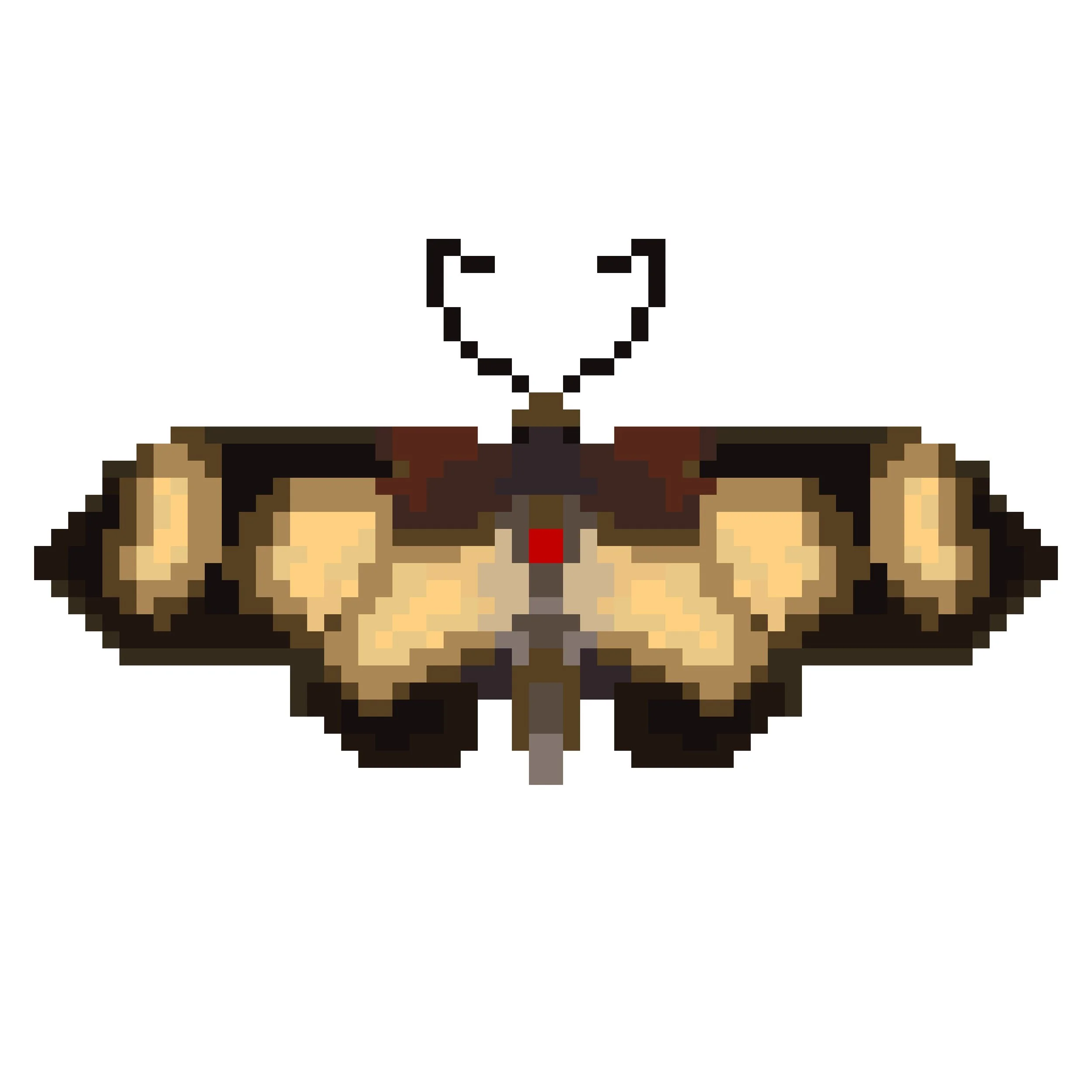 Wingpin#0182-Acraea cabira.jpg