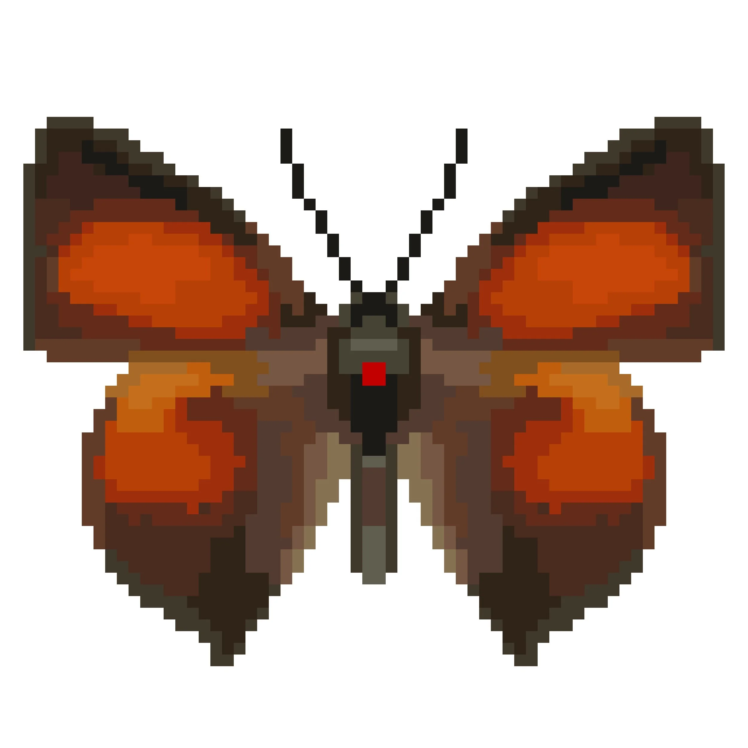 Wingpin#0261-Curetis acuta.jpg
