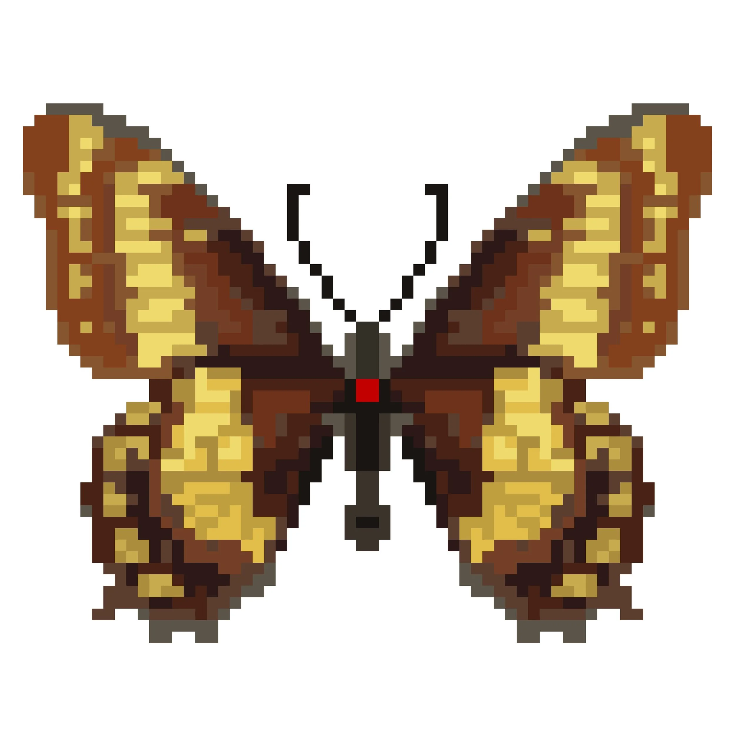 Wingpin#0884-Papilio hellanichius.jpg