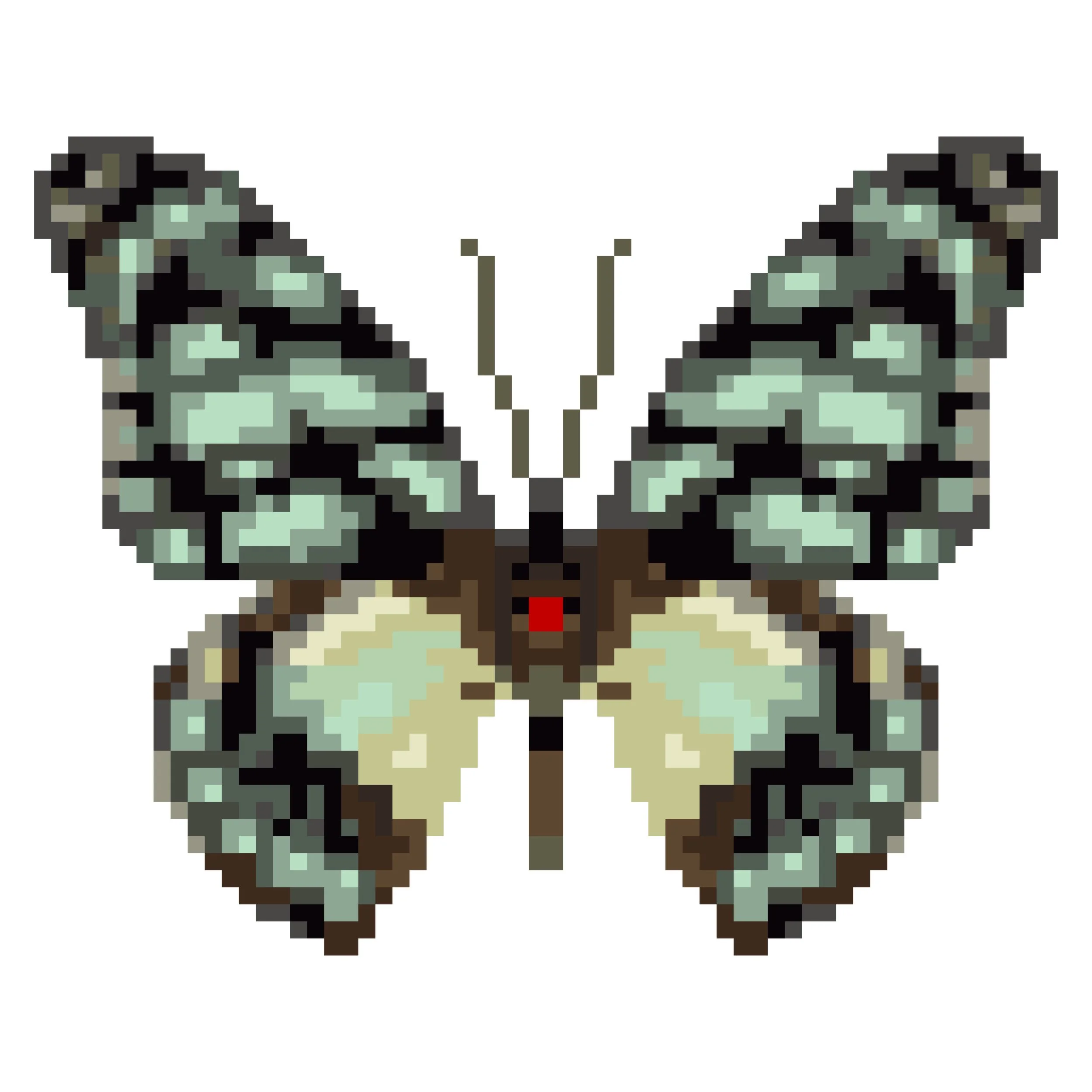 Wingpin#0111-Graphium leonidas.jpg