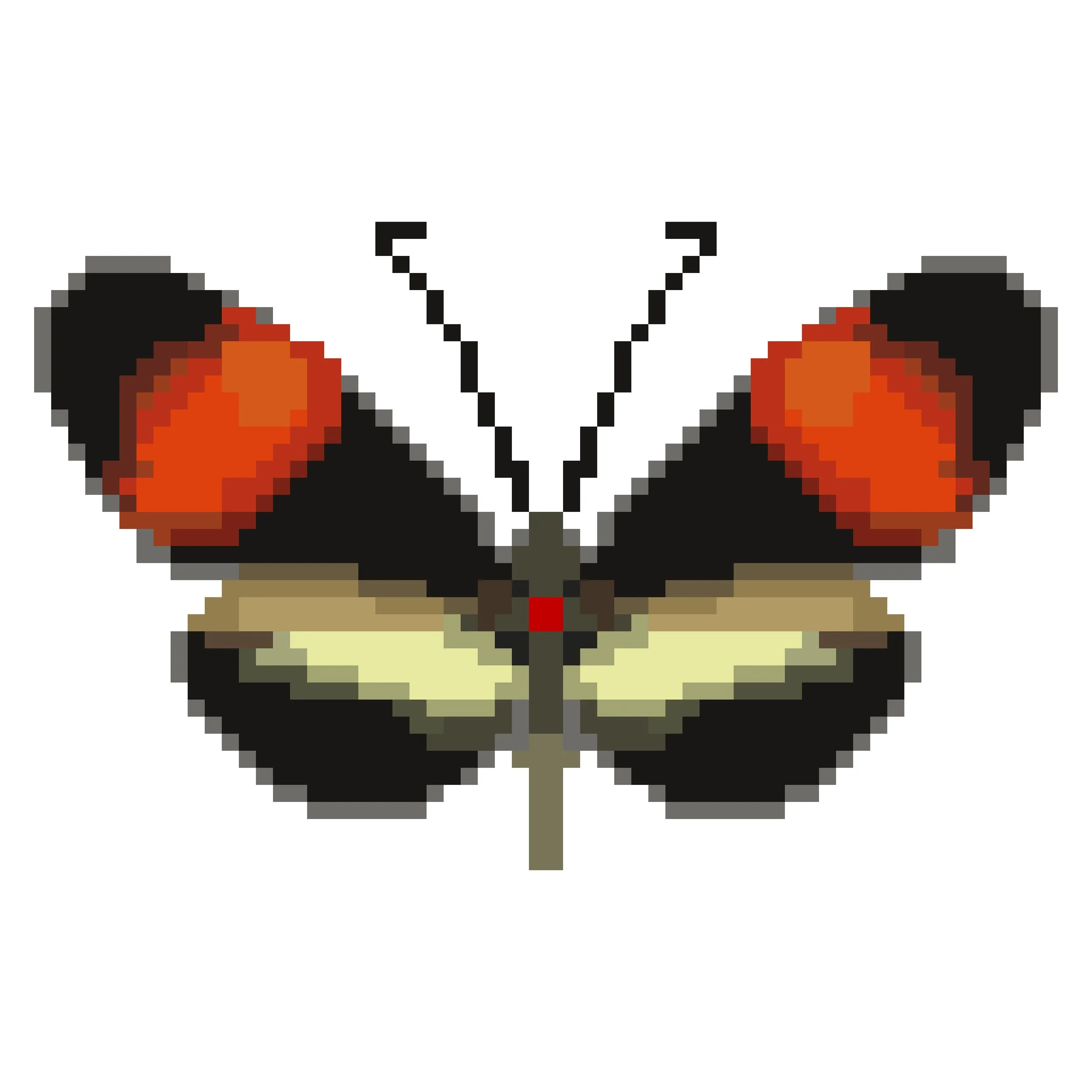 Wingpin#0606-Heliconius melpomene.jpg