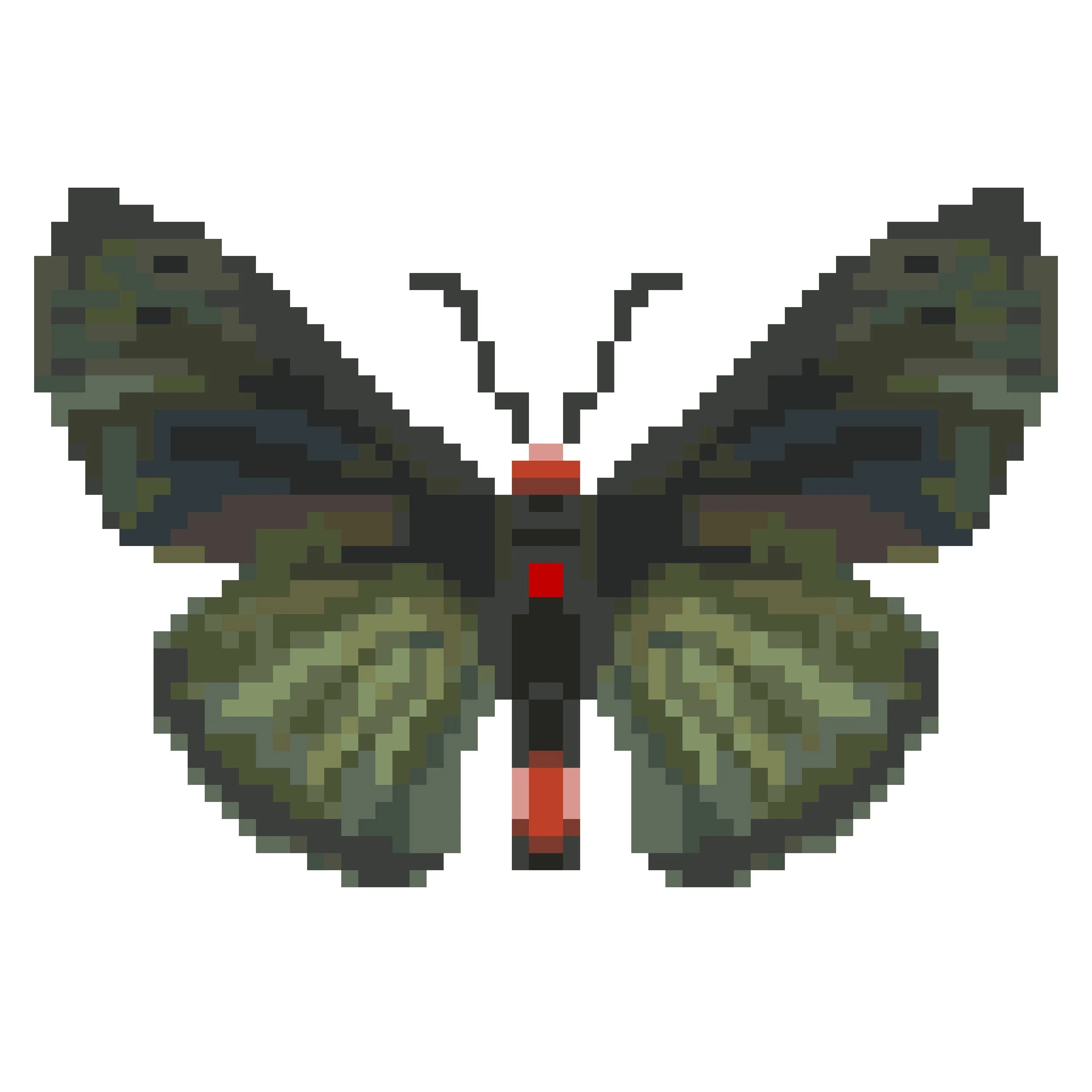 Wingpin#0085-Pyrrhochalcia.jpg