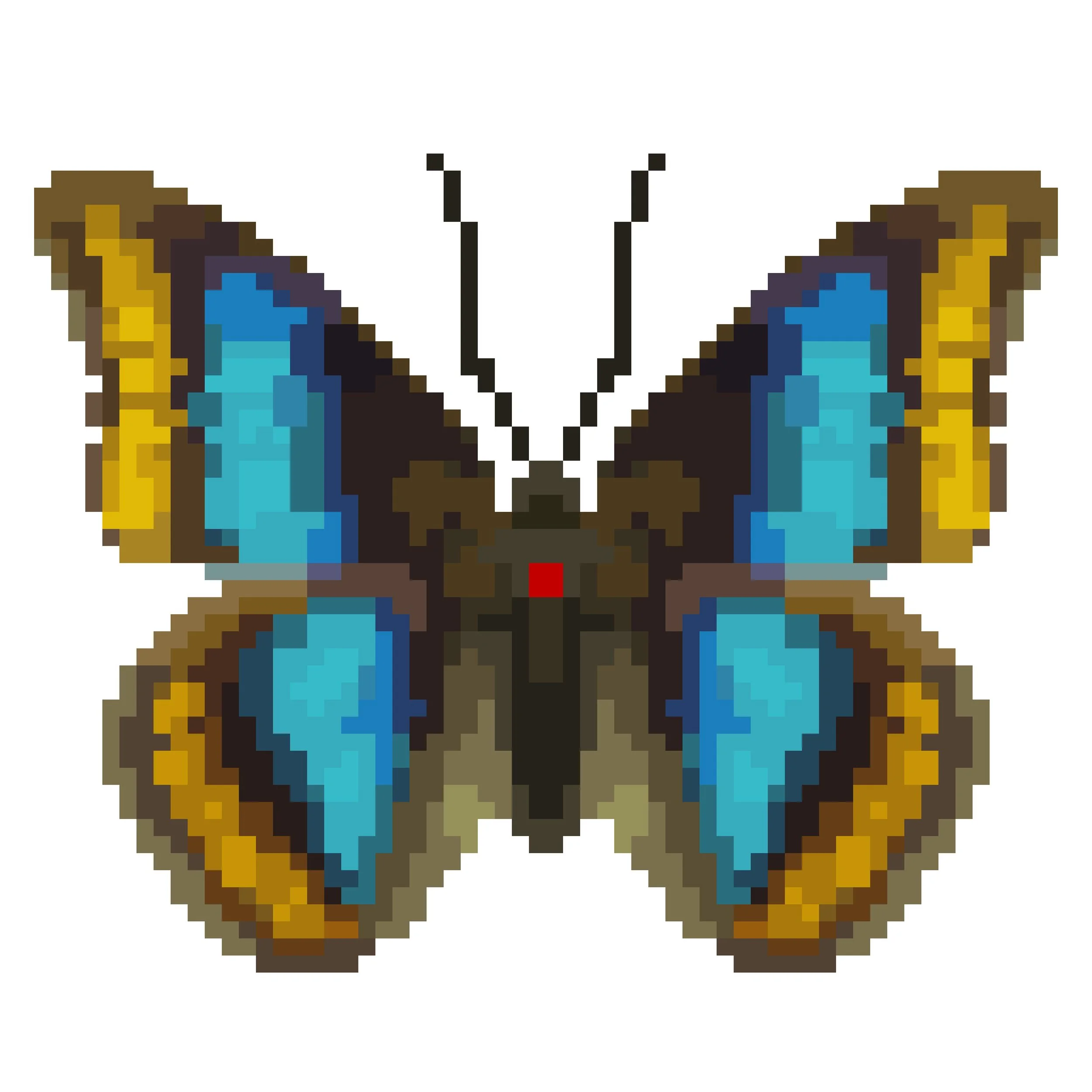 Wingpin#0999-Prepona brooksiana.jpg
