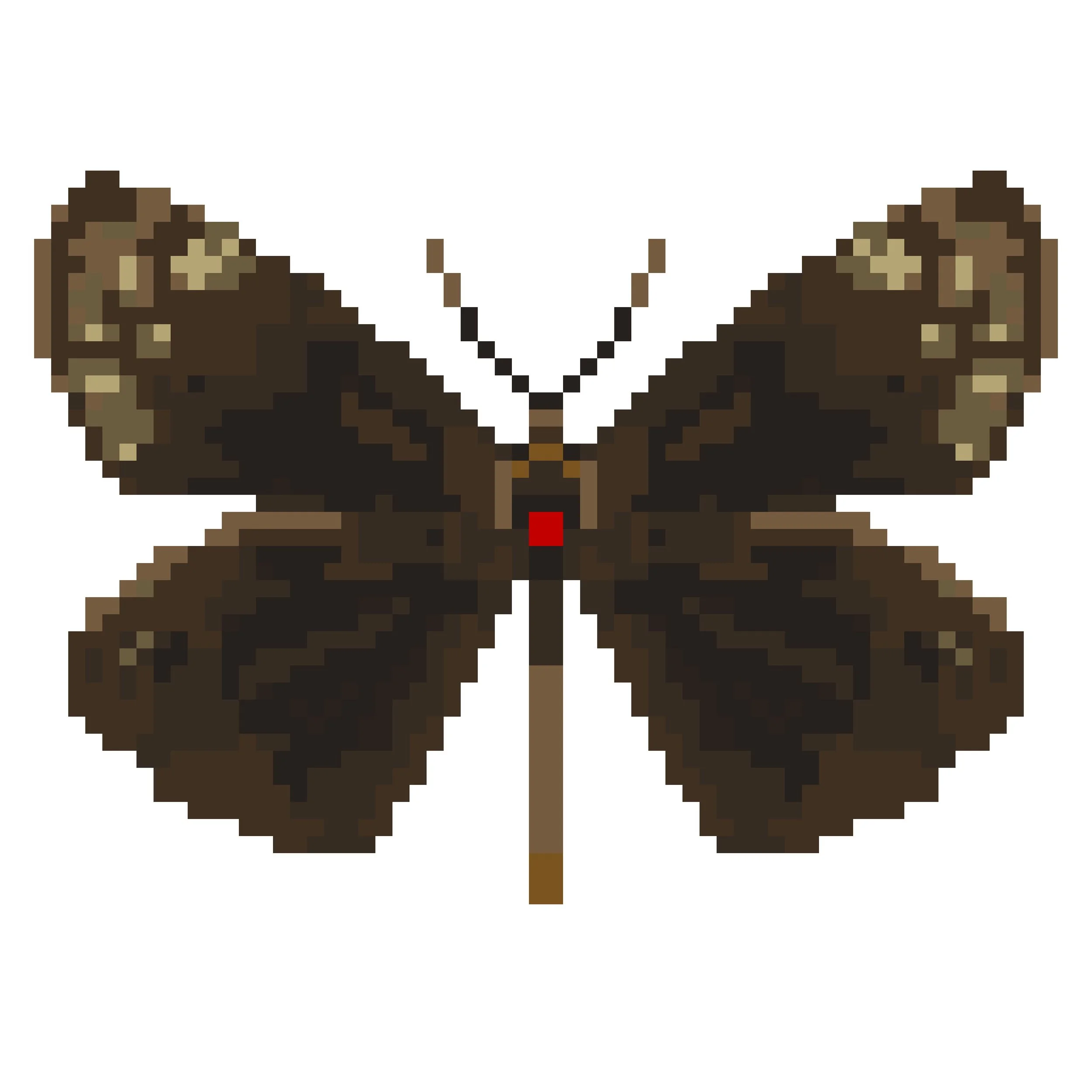 Wingpin#0106-Metisella willemi.jpg