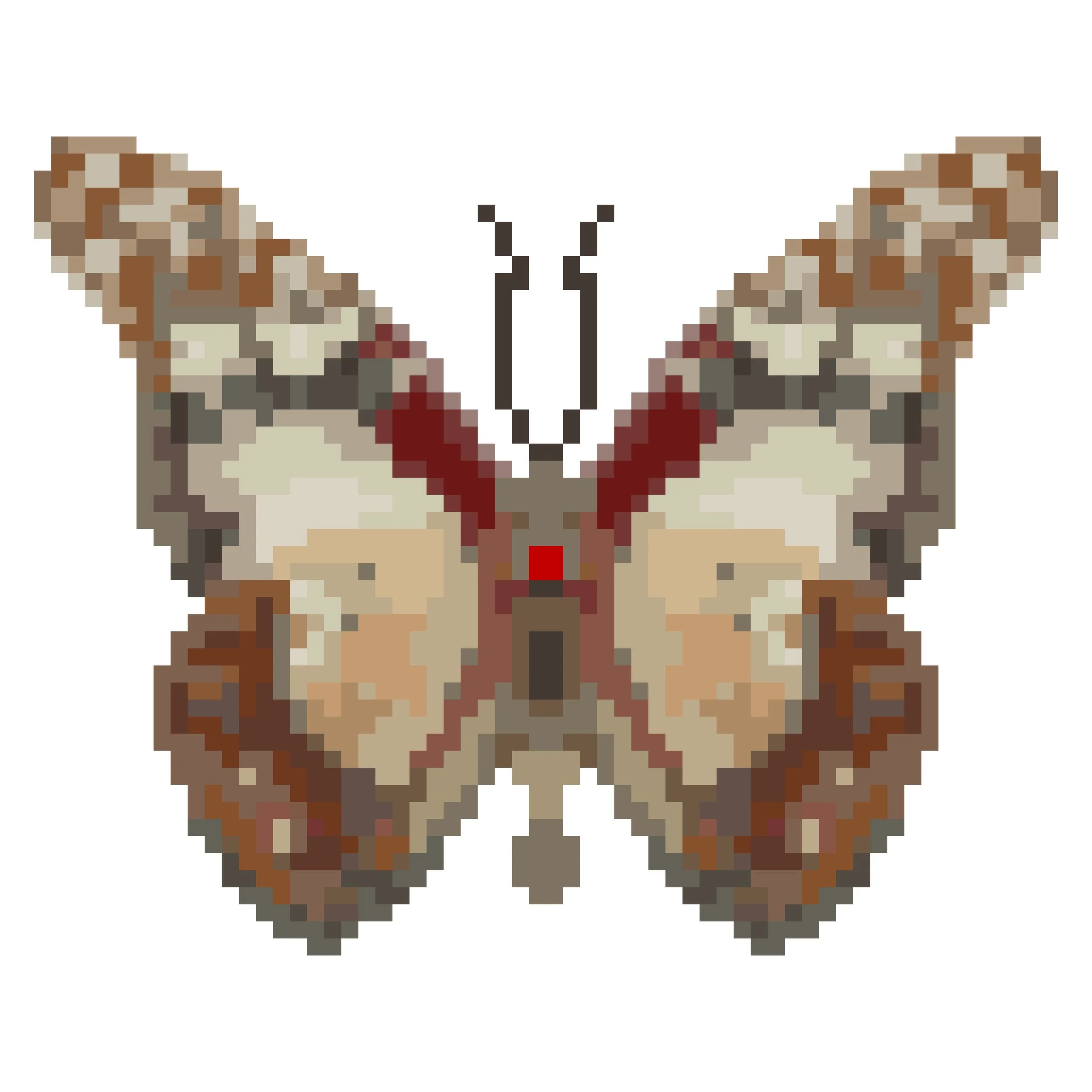 Wingpin#0149-Graphium angolanus.jpg