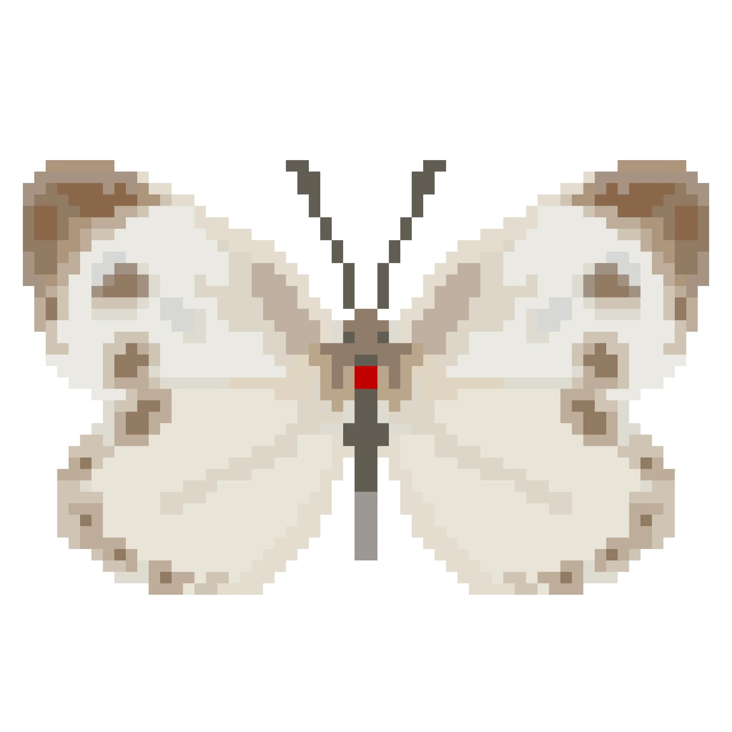 Wingpin#0231-Pieris canidia.jpg