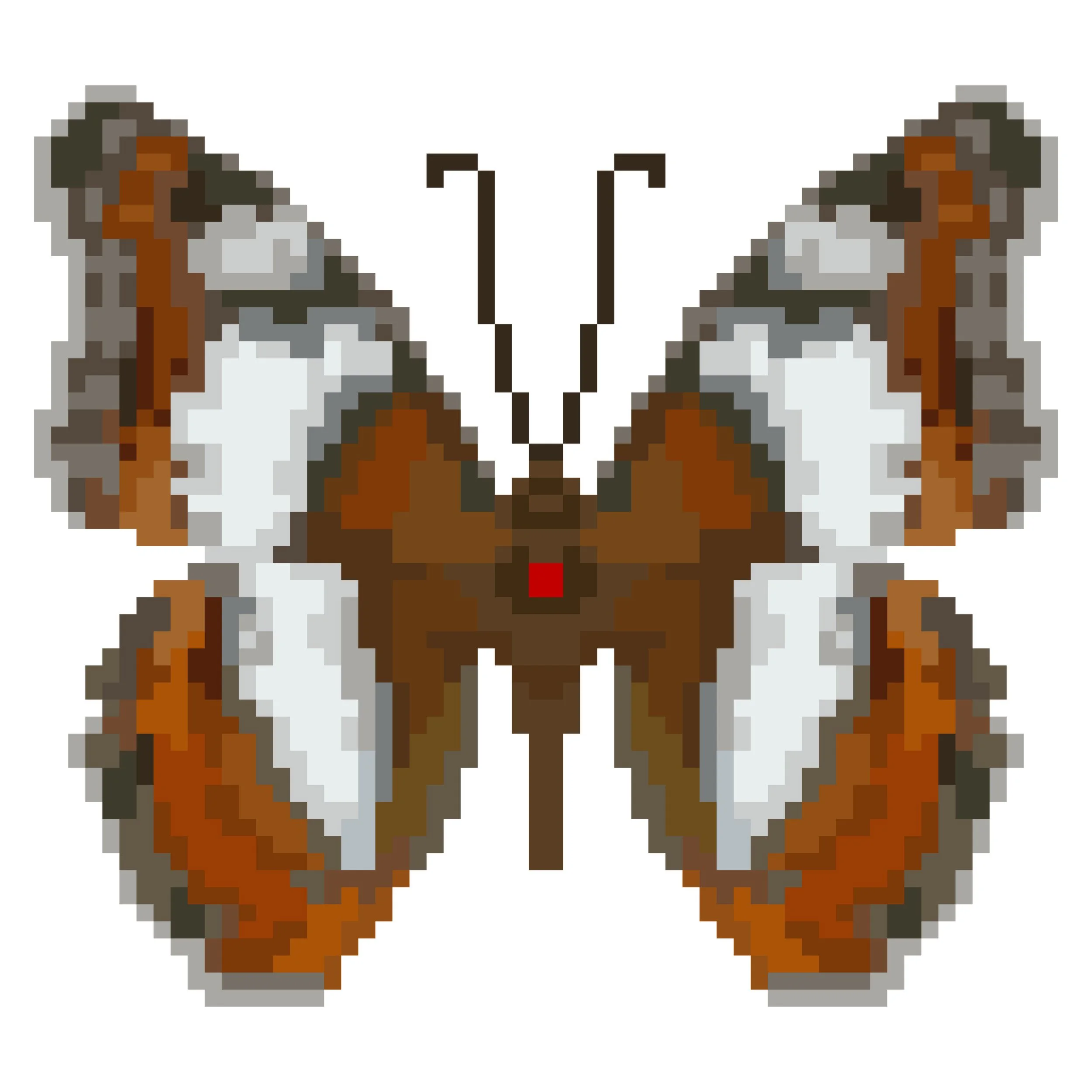 Wingpin#0440-Moduza procris.jpg