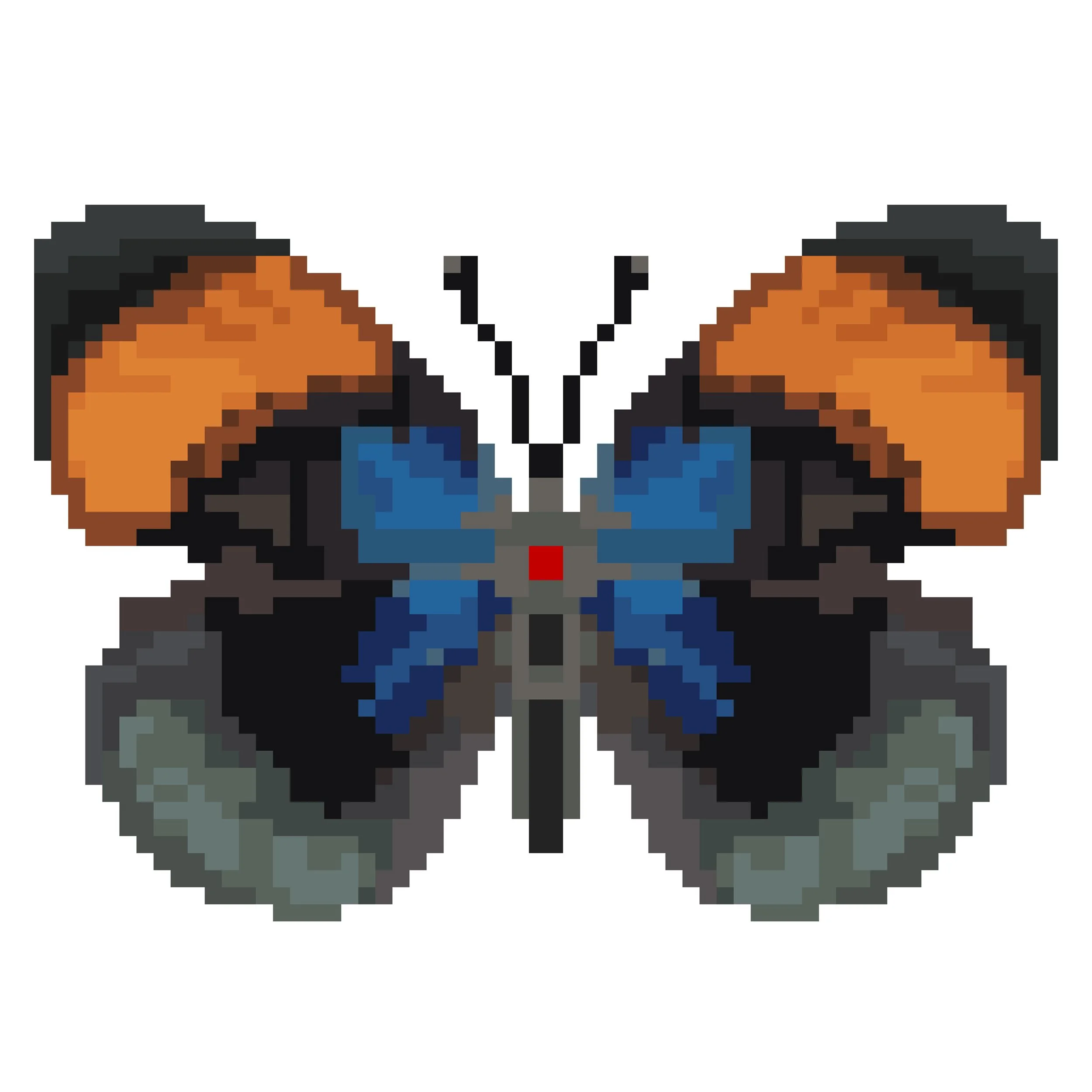 Wingpin#0678-Asterope sapphira.jpg