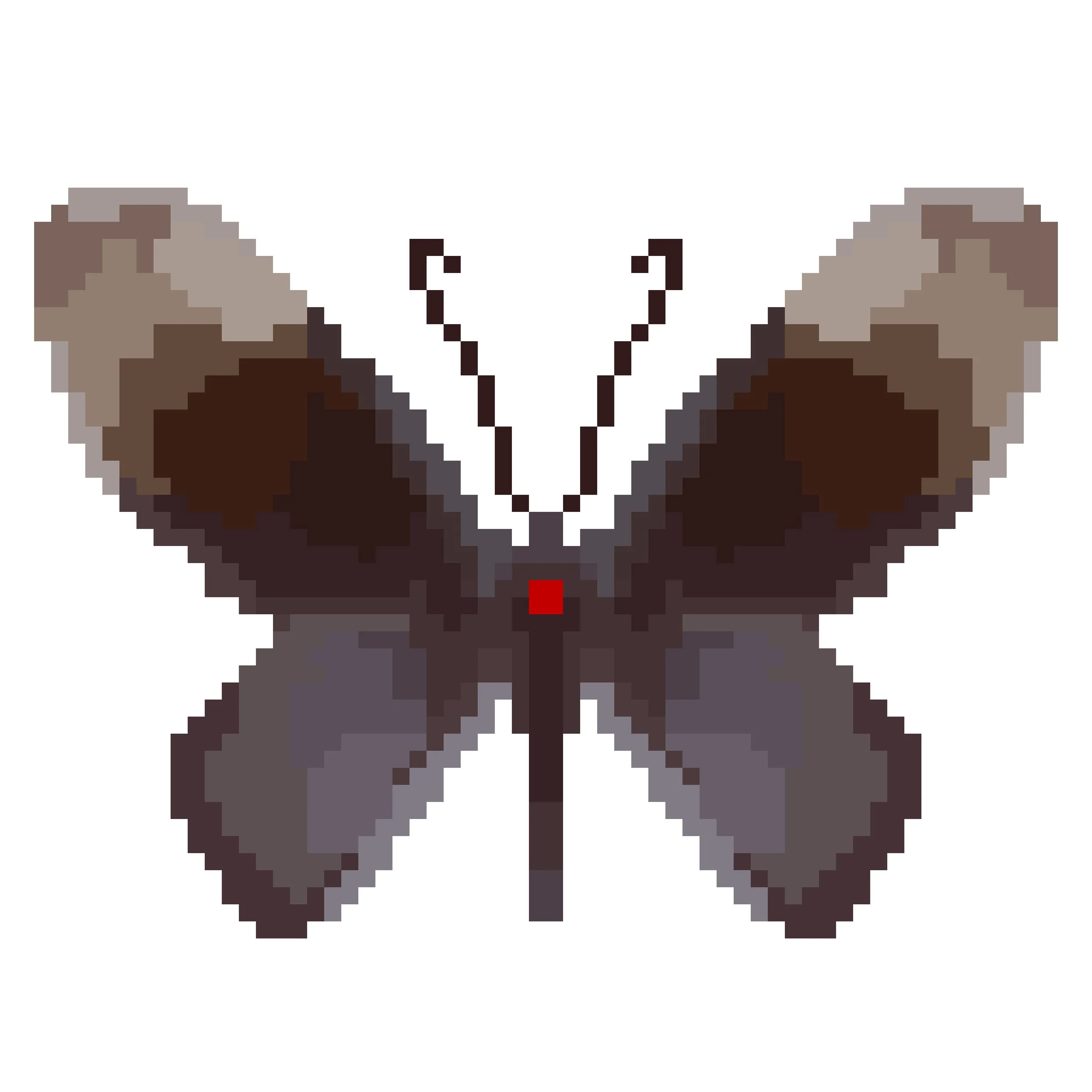 Wingpin#0494-Atrophaneura nox.jpg