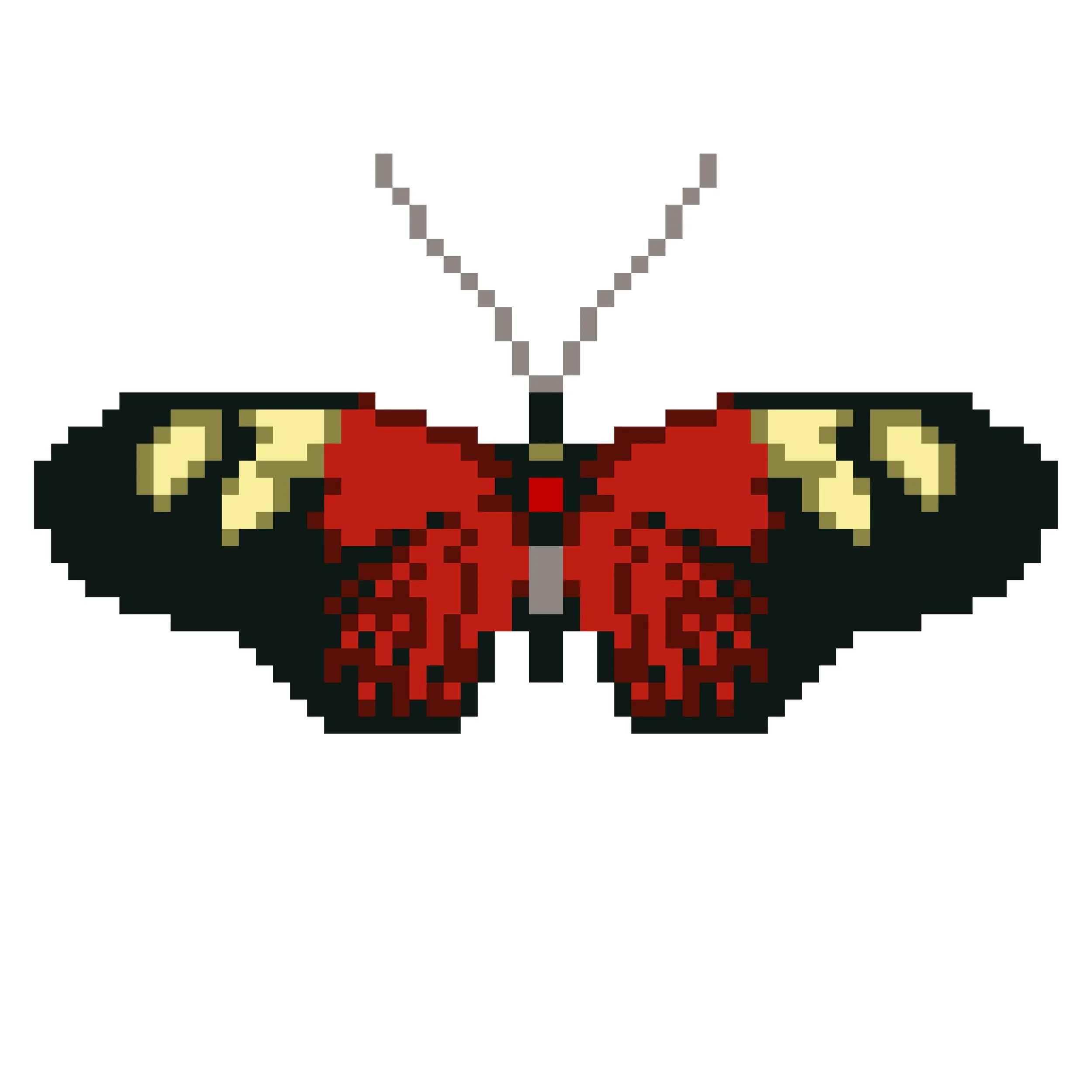 Wingpin#0019-Heliconius erato.jpg