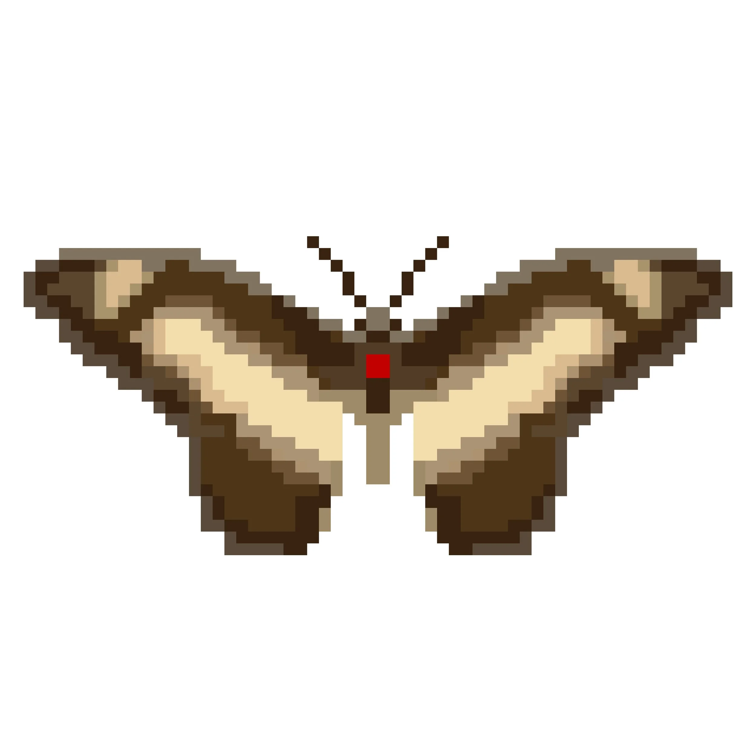 Wingpin#0334-Graphium ucalegon.jpg