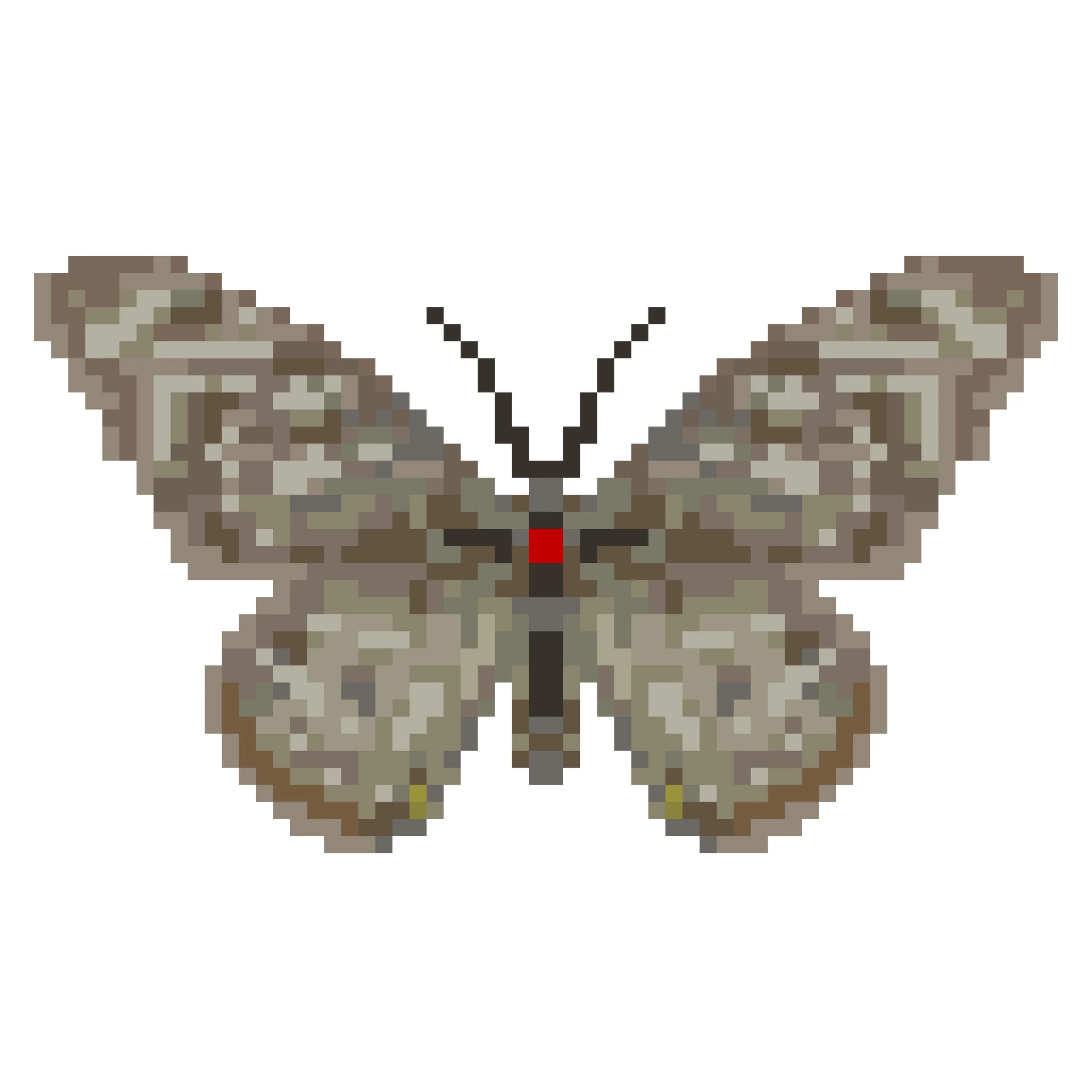 Wingpin#0206-Papilio clytia.jpg