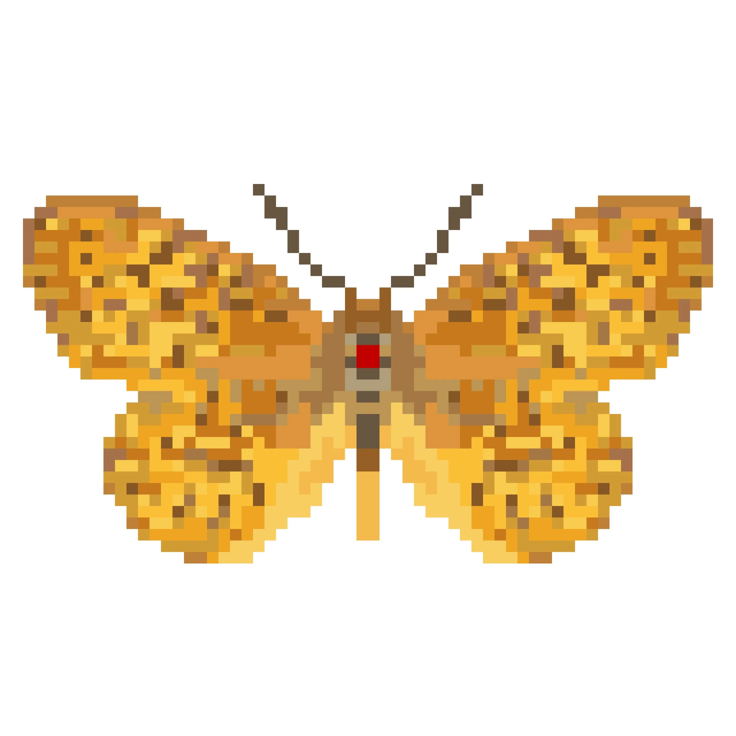 Wingpin#0197-Argynnis irene.jpg